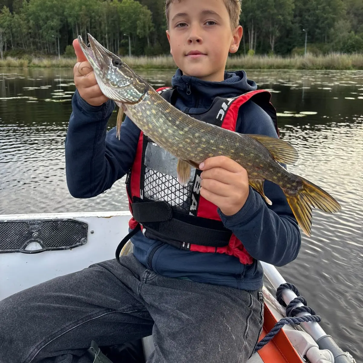 Northern pike caught on Fishbrain