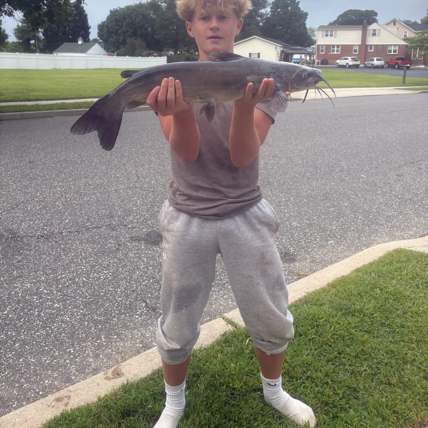 Channel catfish caught on Fishbrain