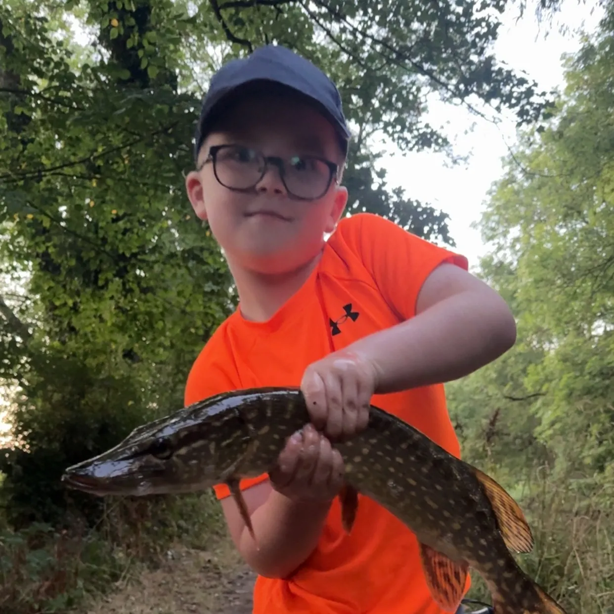 Northern pike caught on Fishbrain