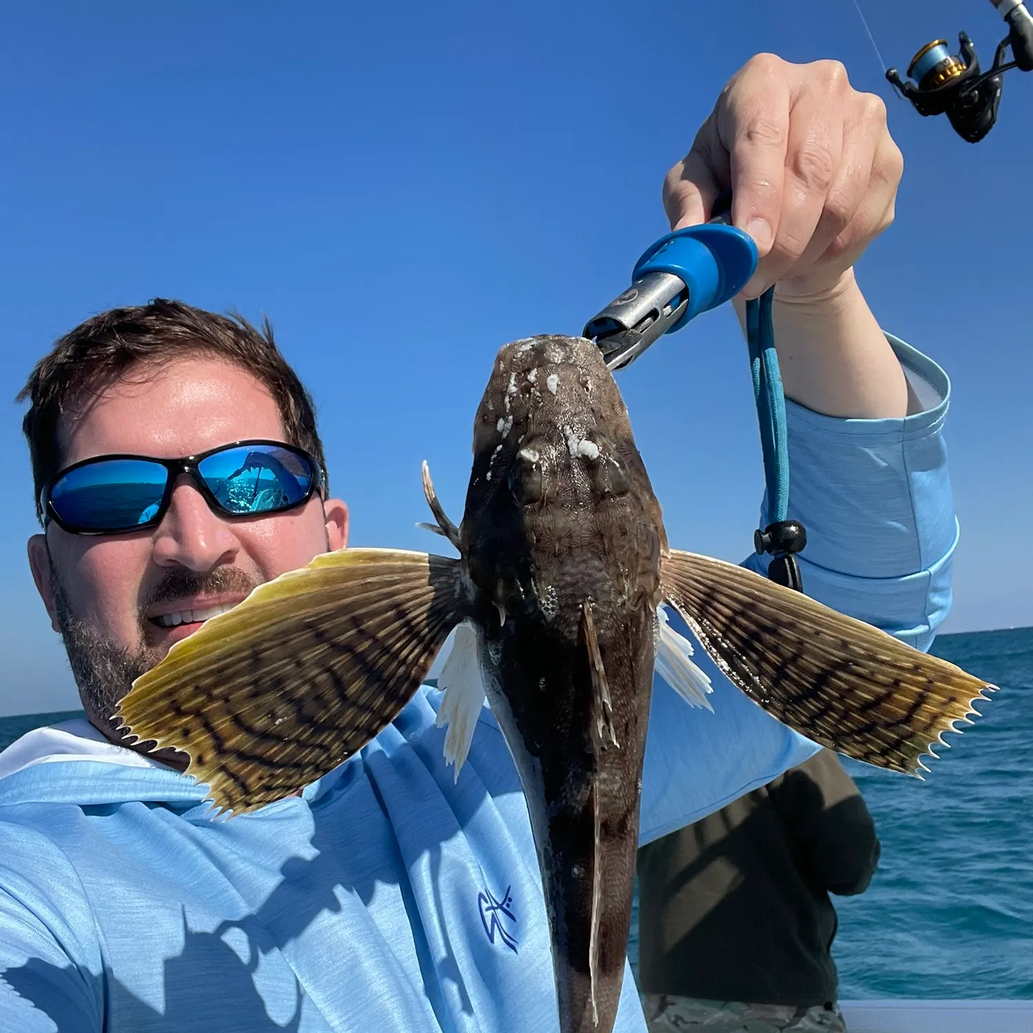 The most recent Striped searobin catches on Fishbrain