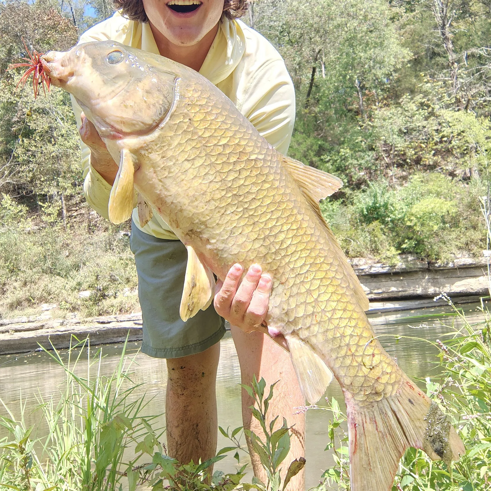 Smallmouth buffalo caught on Fishbrain