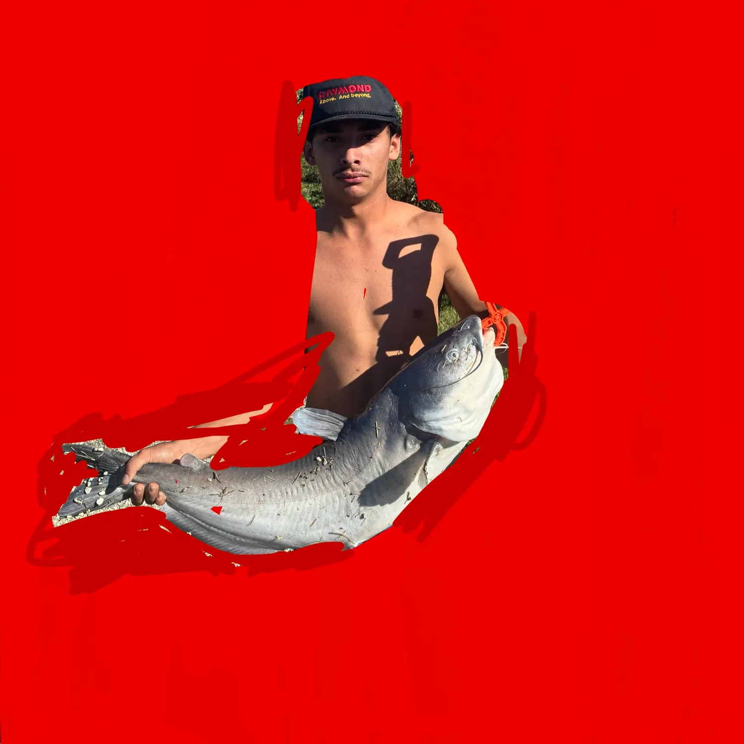 Channel catfish caught on Fishbrain