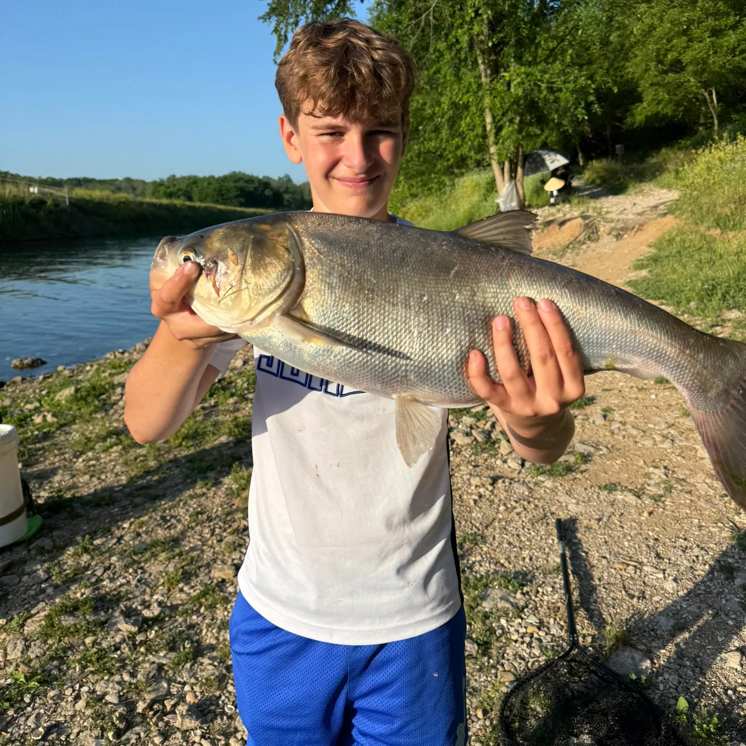 most liked catch image