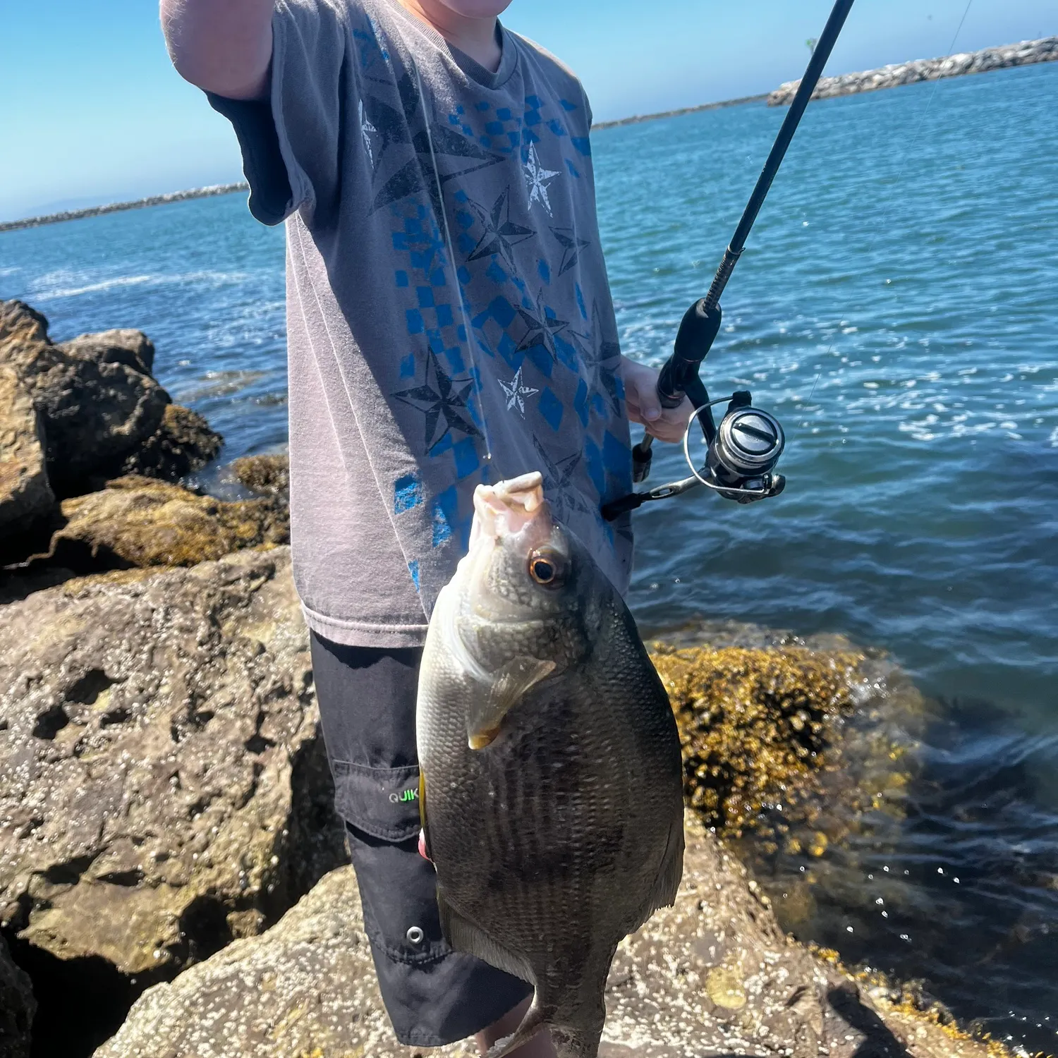 The most recent Whitebarred rubberlip catches on Fishbrain
