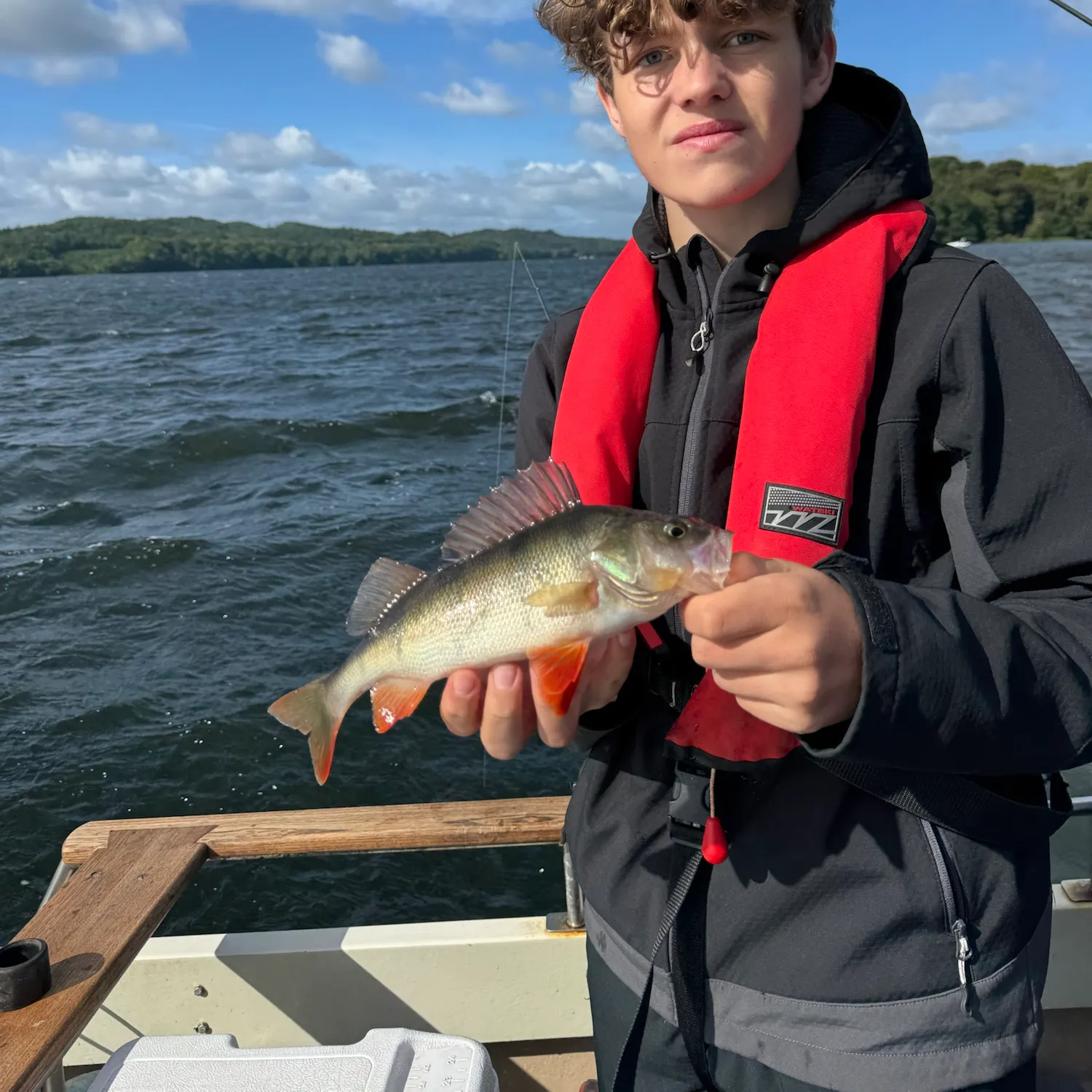 European perch caught on Fishbrain