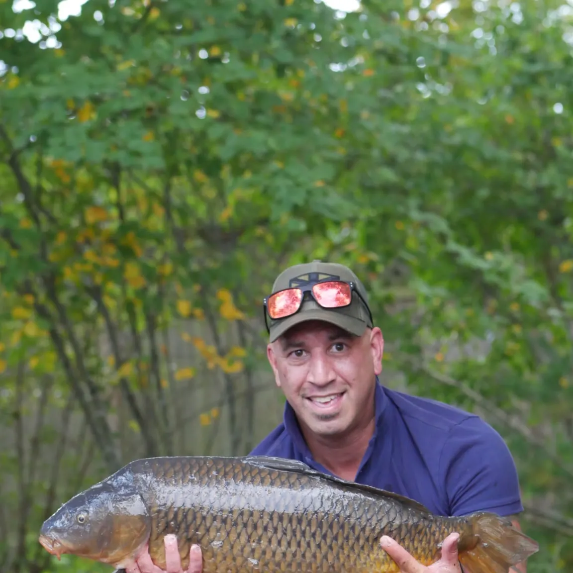 Common carp caught on Fishbrain