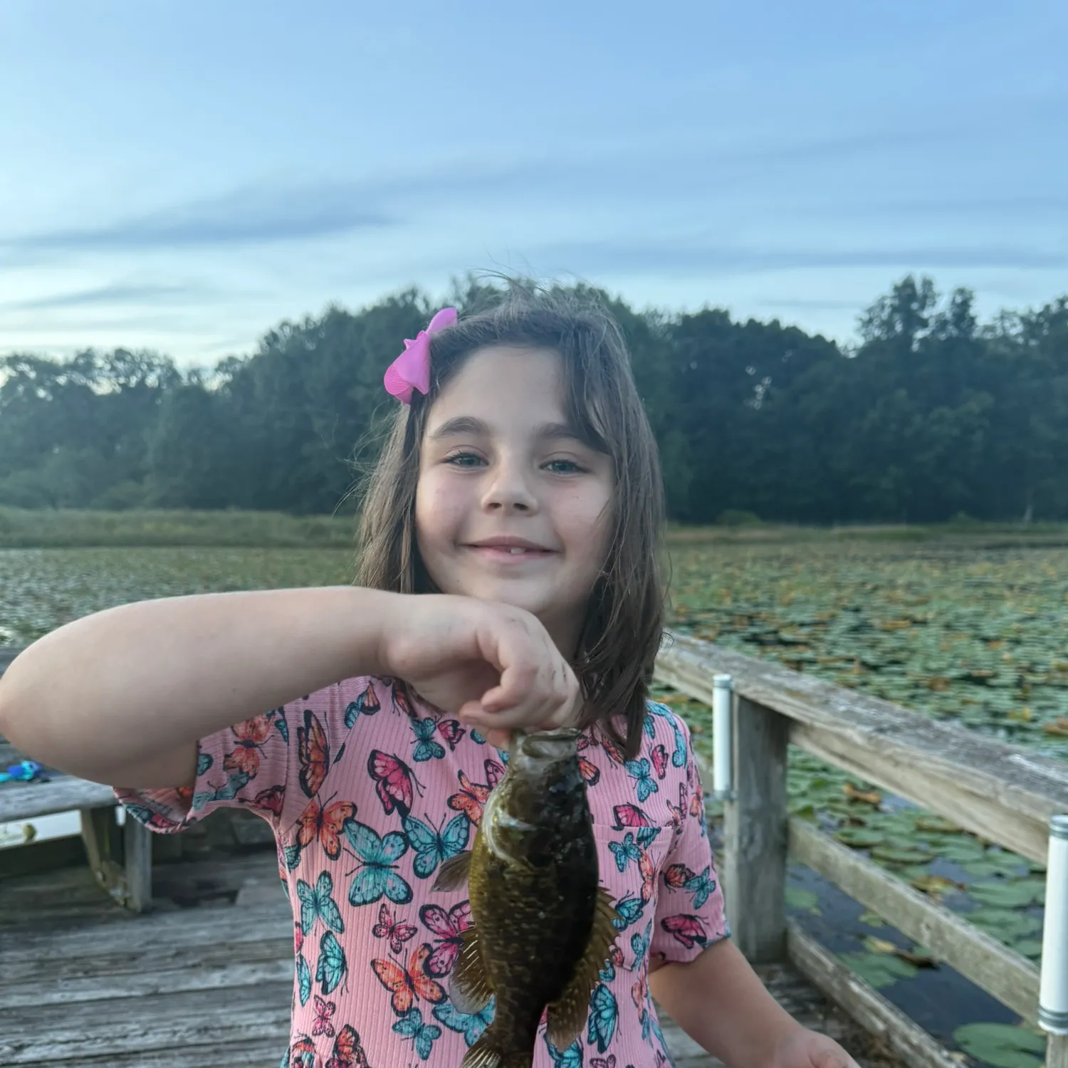 Rock bass caught on Fishbrain