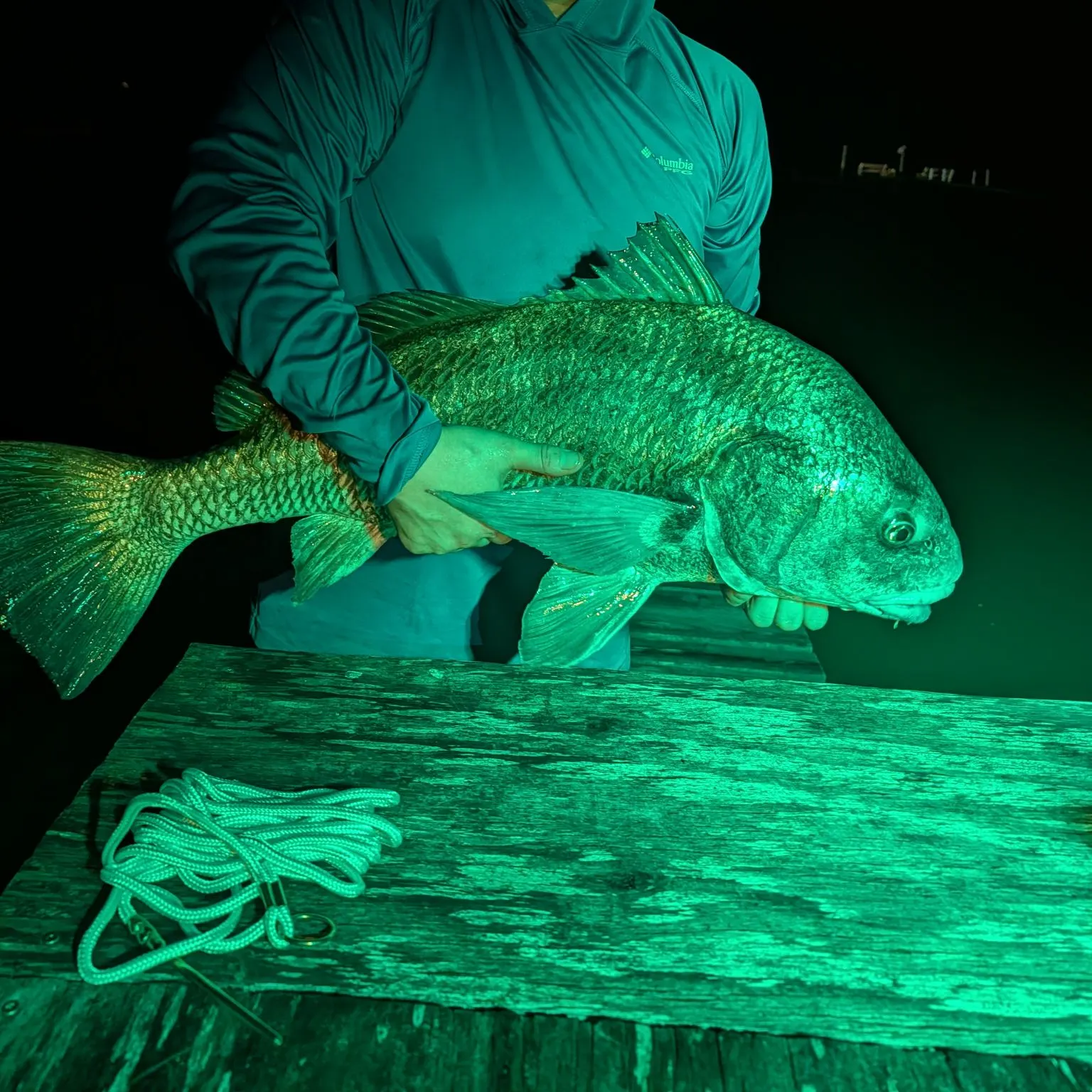 Black drum caught on Fishbrain