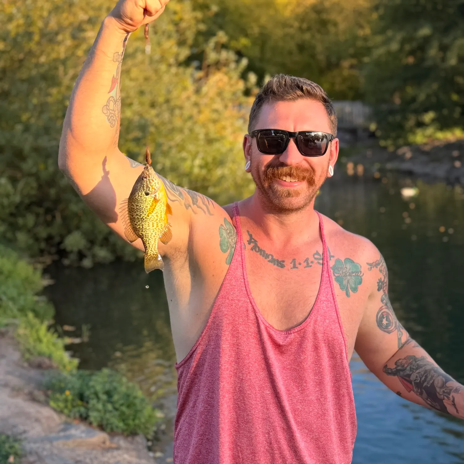Pumpkinseed caught on Fishbrain