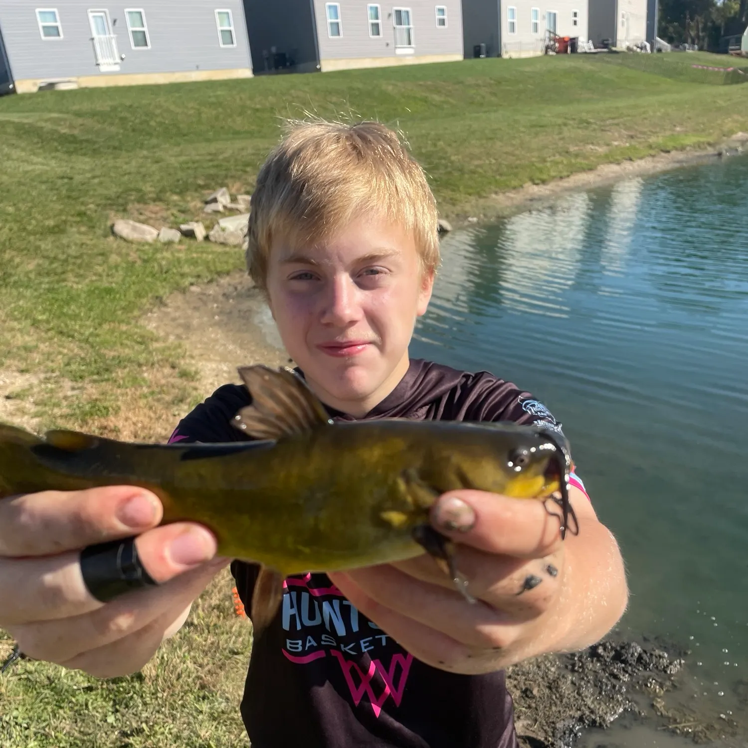 Yellow bullhead caught on Fishbrain