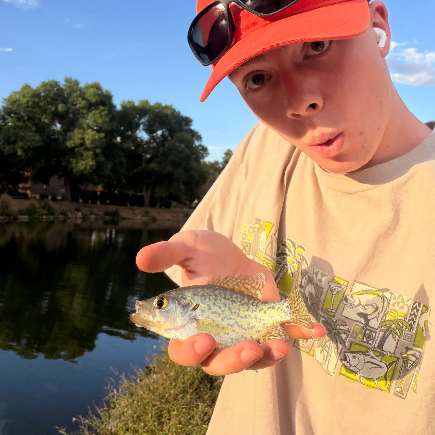 Black crappie caught on Fishbrain