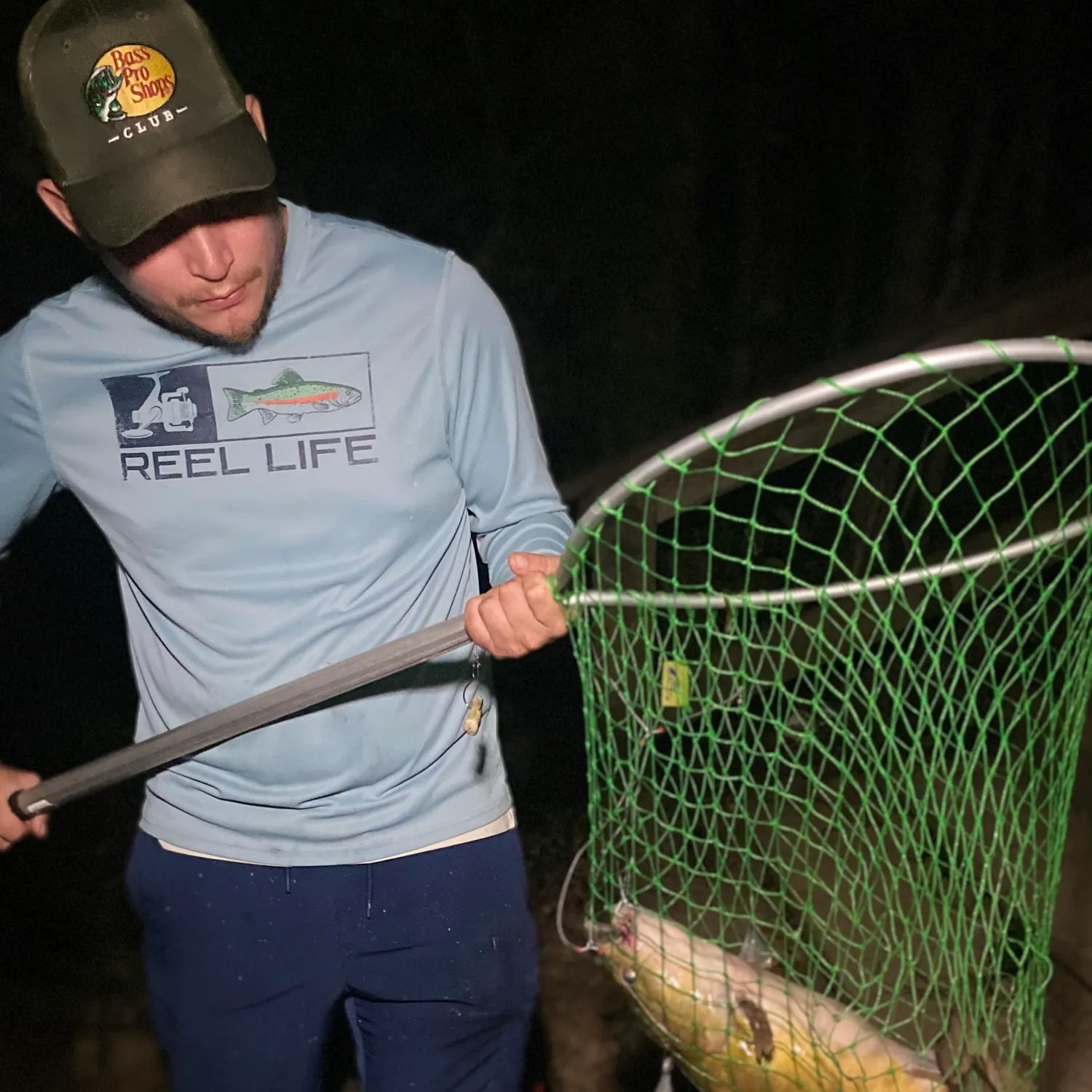Channel catfish caught on Fishbrain