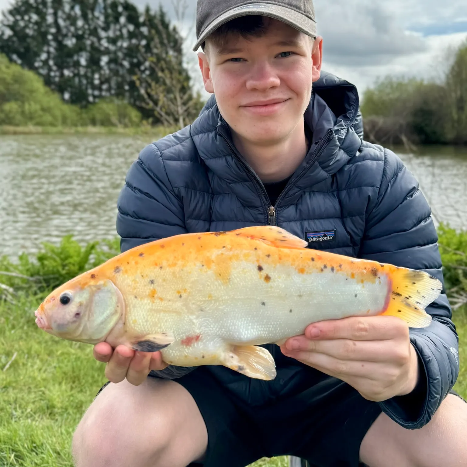 The most recent Golden tench catches on Fishbrain