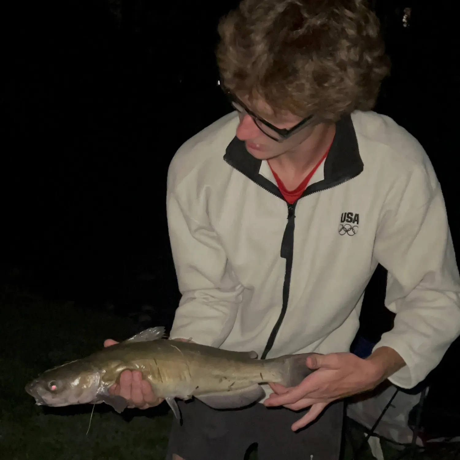 Channel catfish caught on Fishbrain