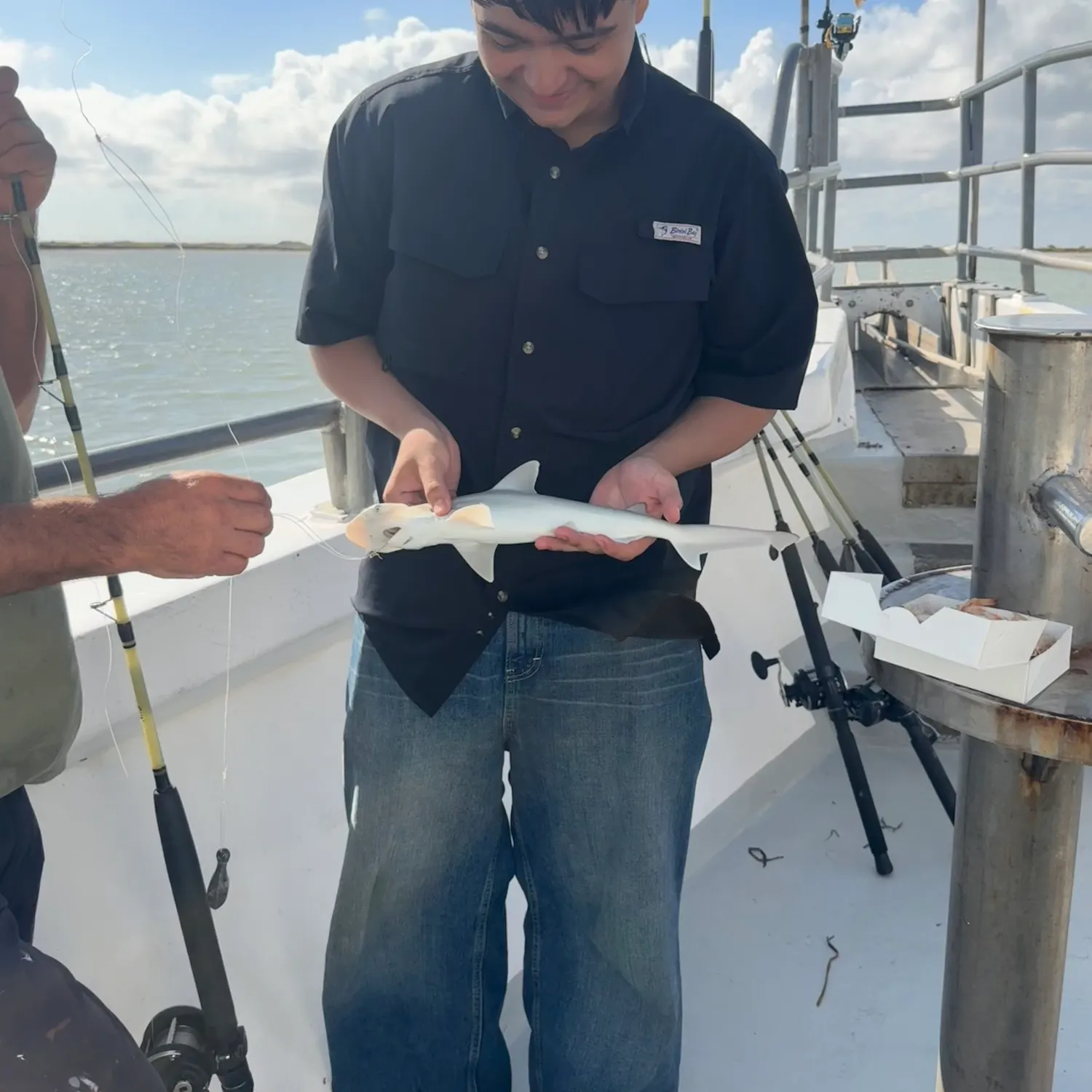 The most recent Bonnethead shark catches on Fishbrain