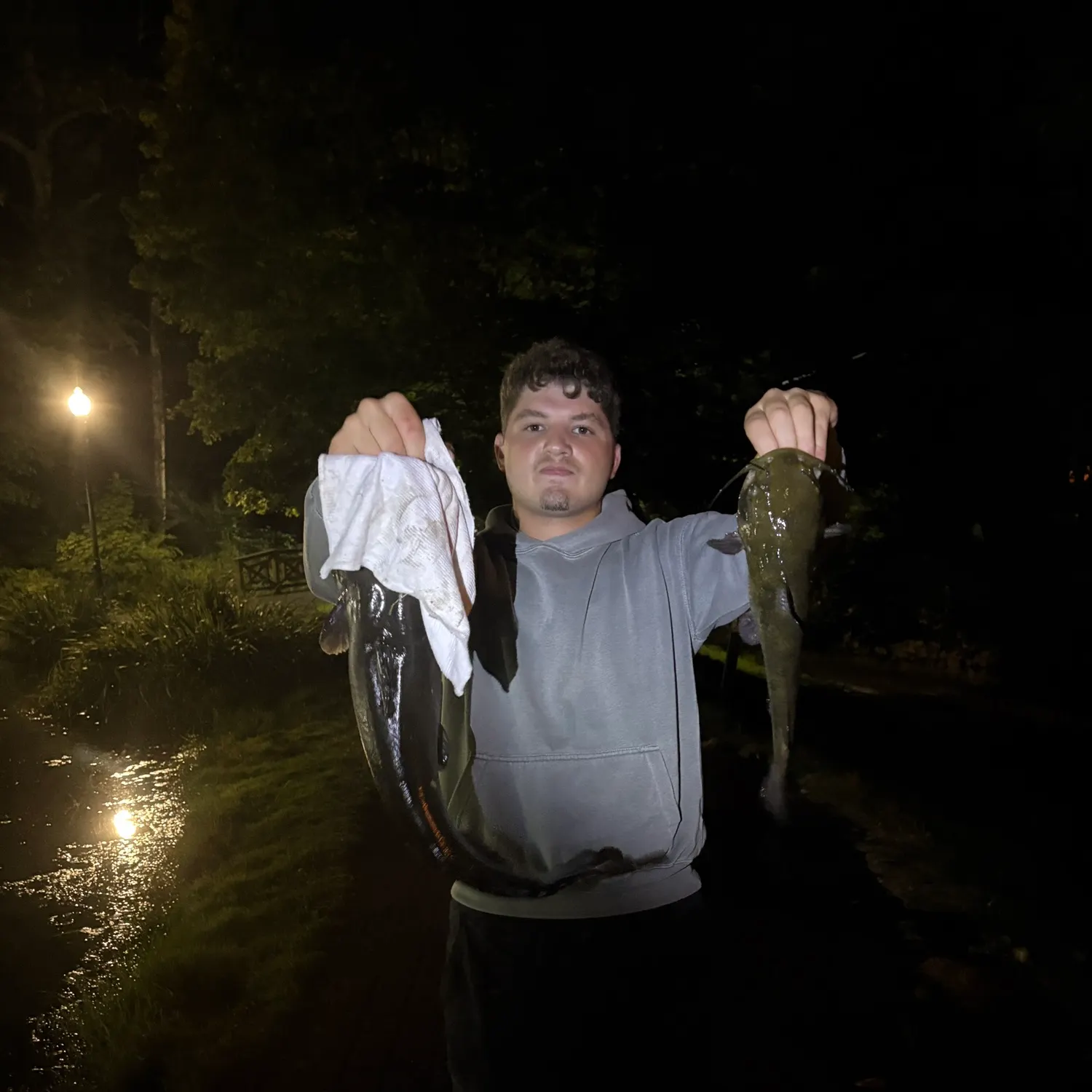 Channel catfish caught on Fishbrain