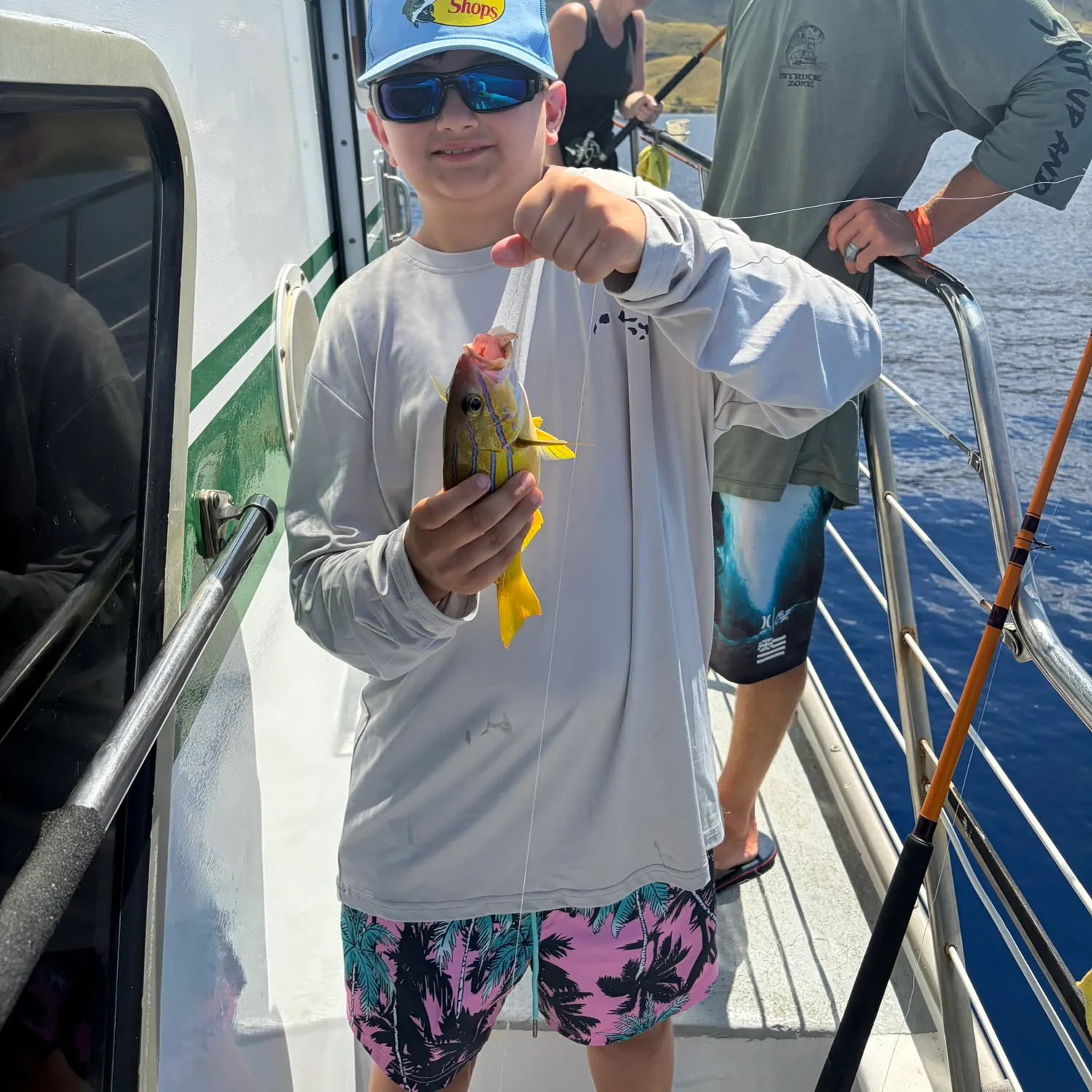 The most recent Common bluestripe snapper catches on Fishbrain