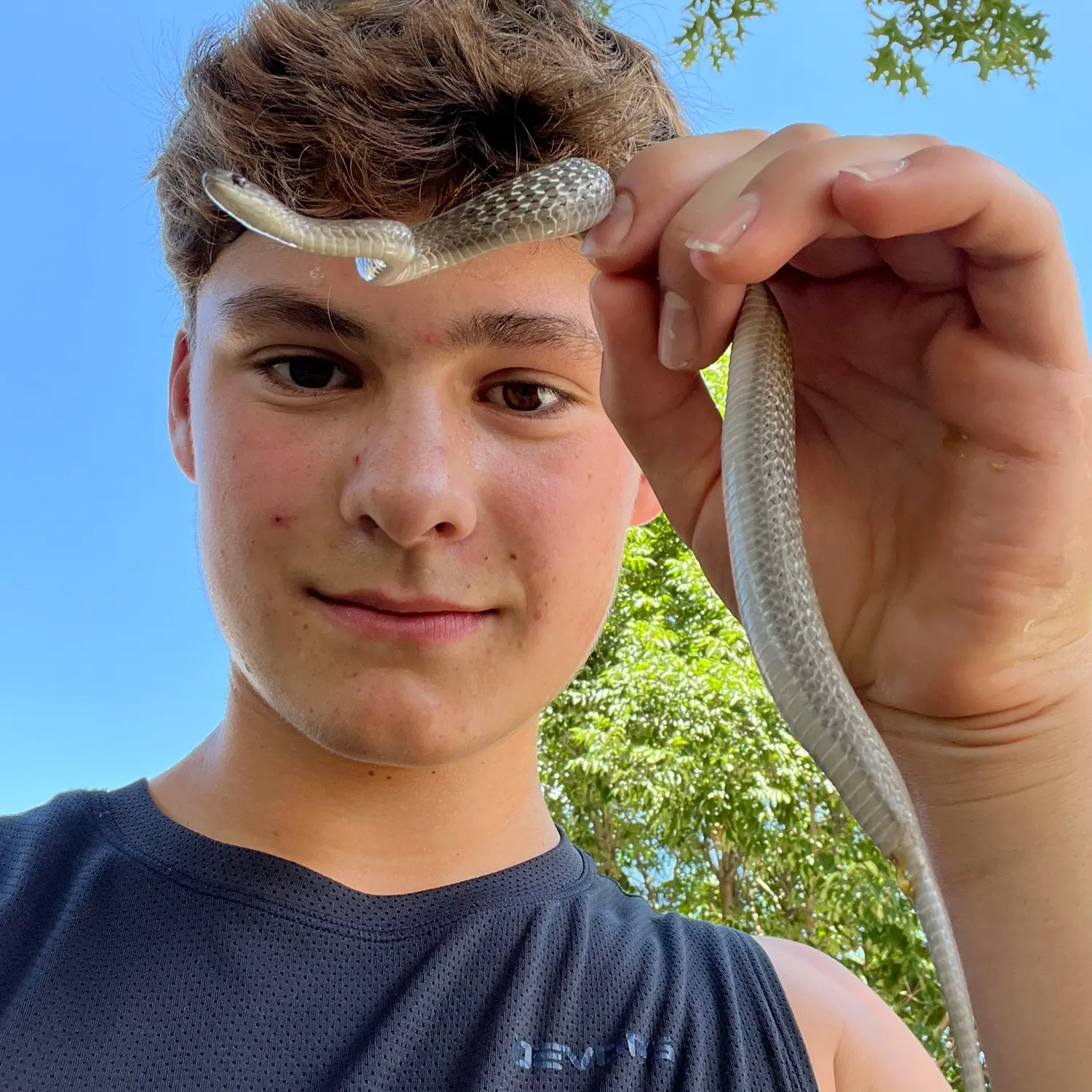 The most recent Manetail snake eel catches on Fishbrain
