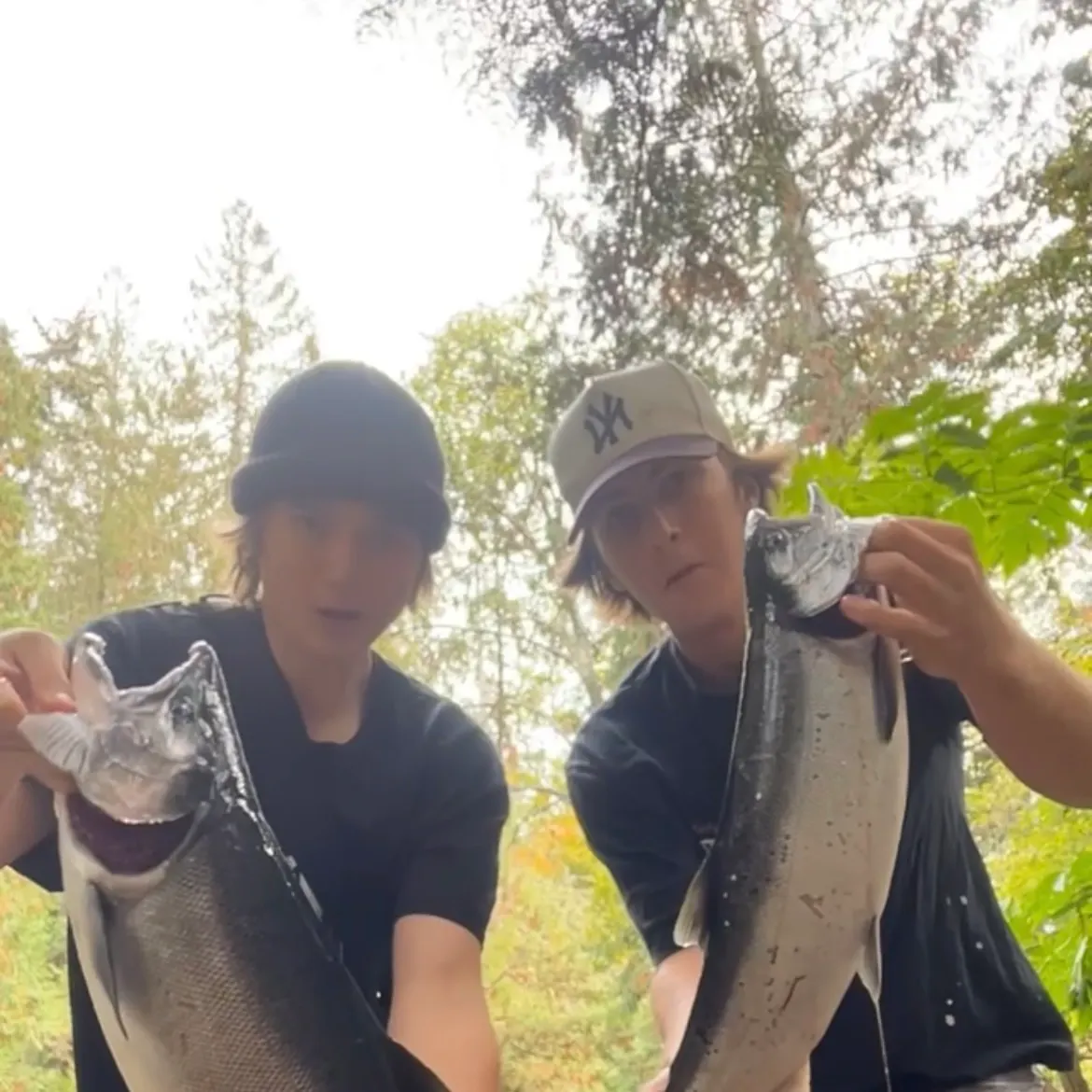 Coho salmon caught on Fishbrain