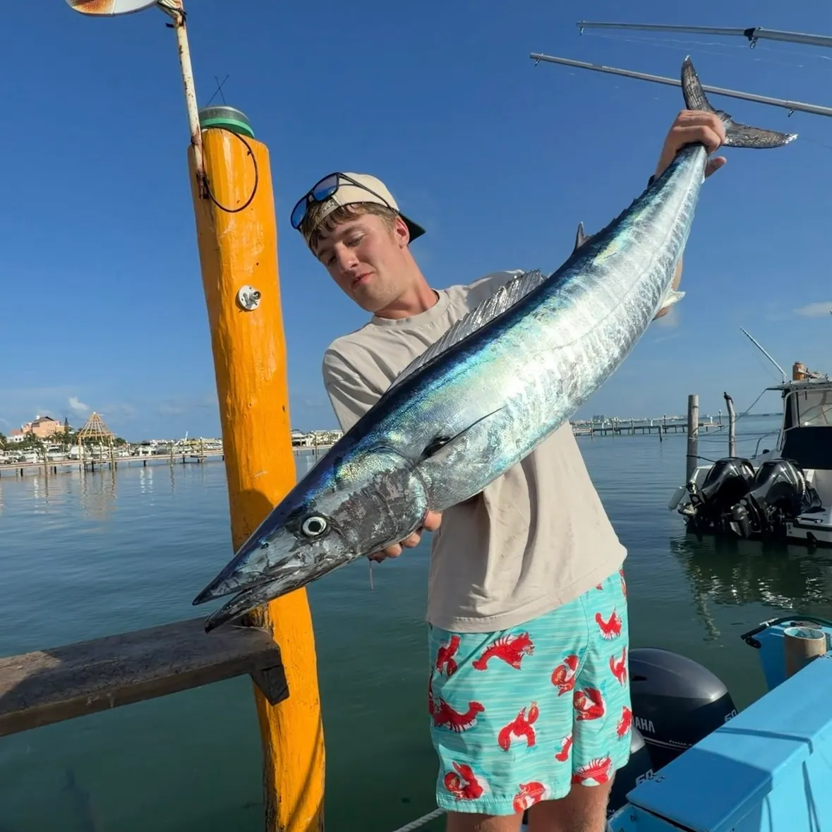 The most recent Wahoo catches on Fishbrain