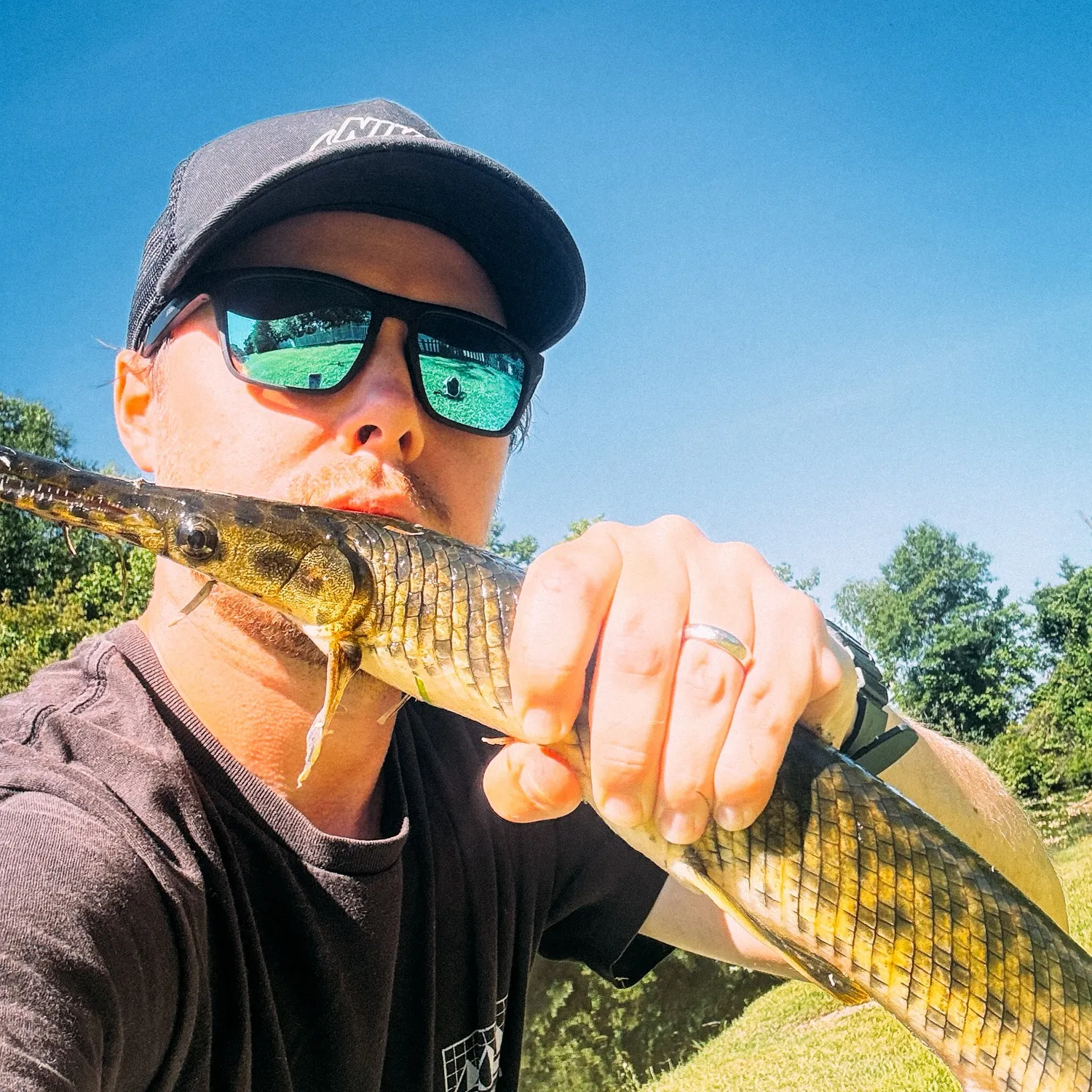 The most recent Spotted gar catches on Fishbrain