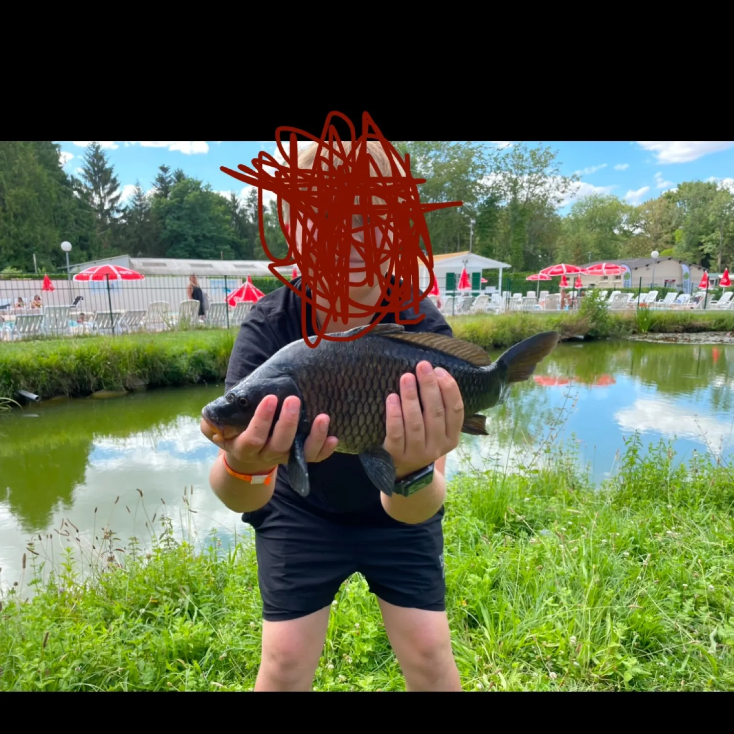 The most recent Black carp catches on Fishbrain