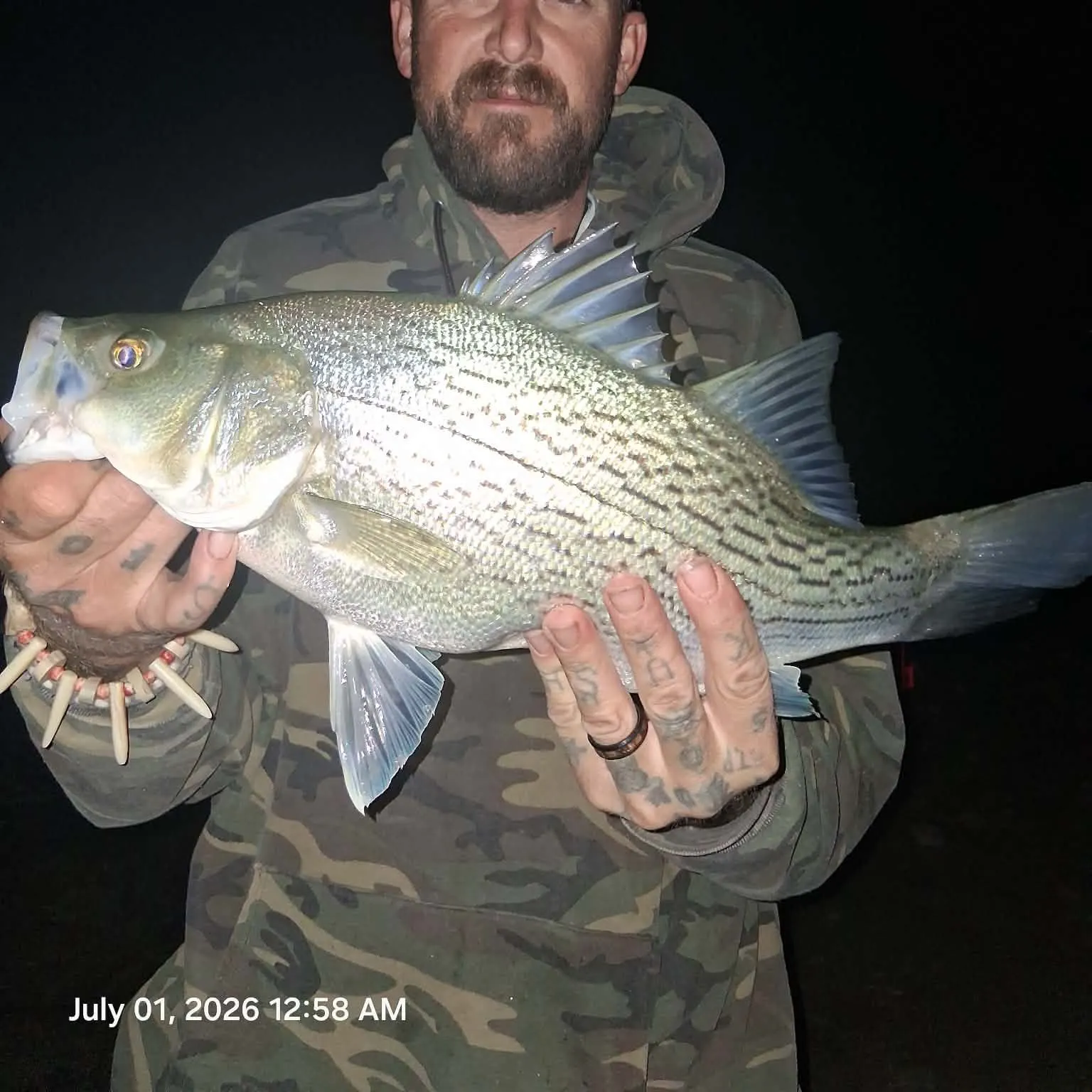 recently logged catches