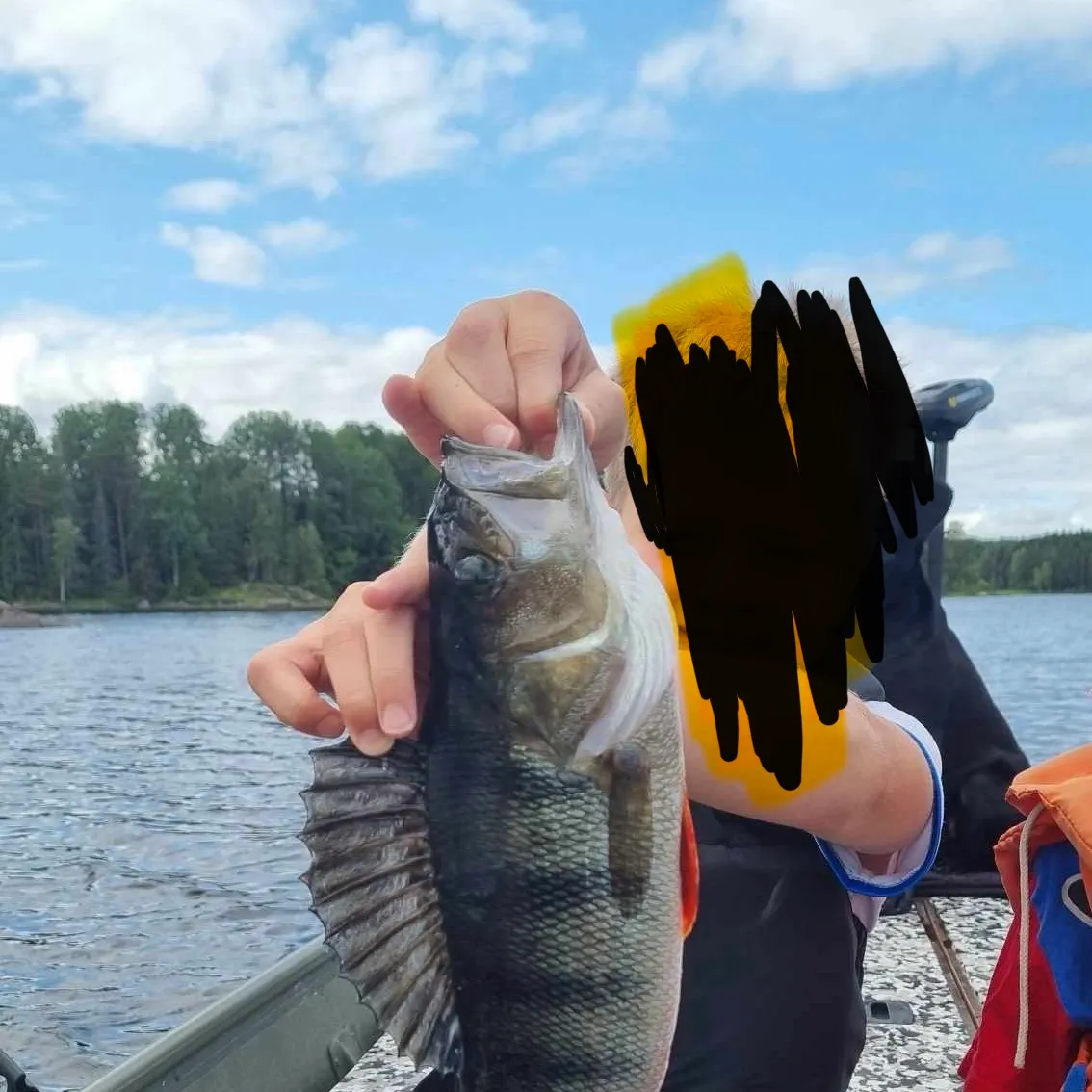 European perch caught on Fishbrain