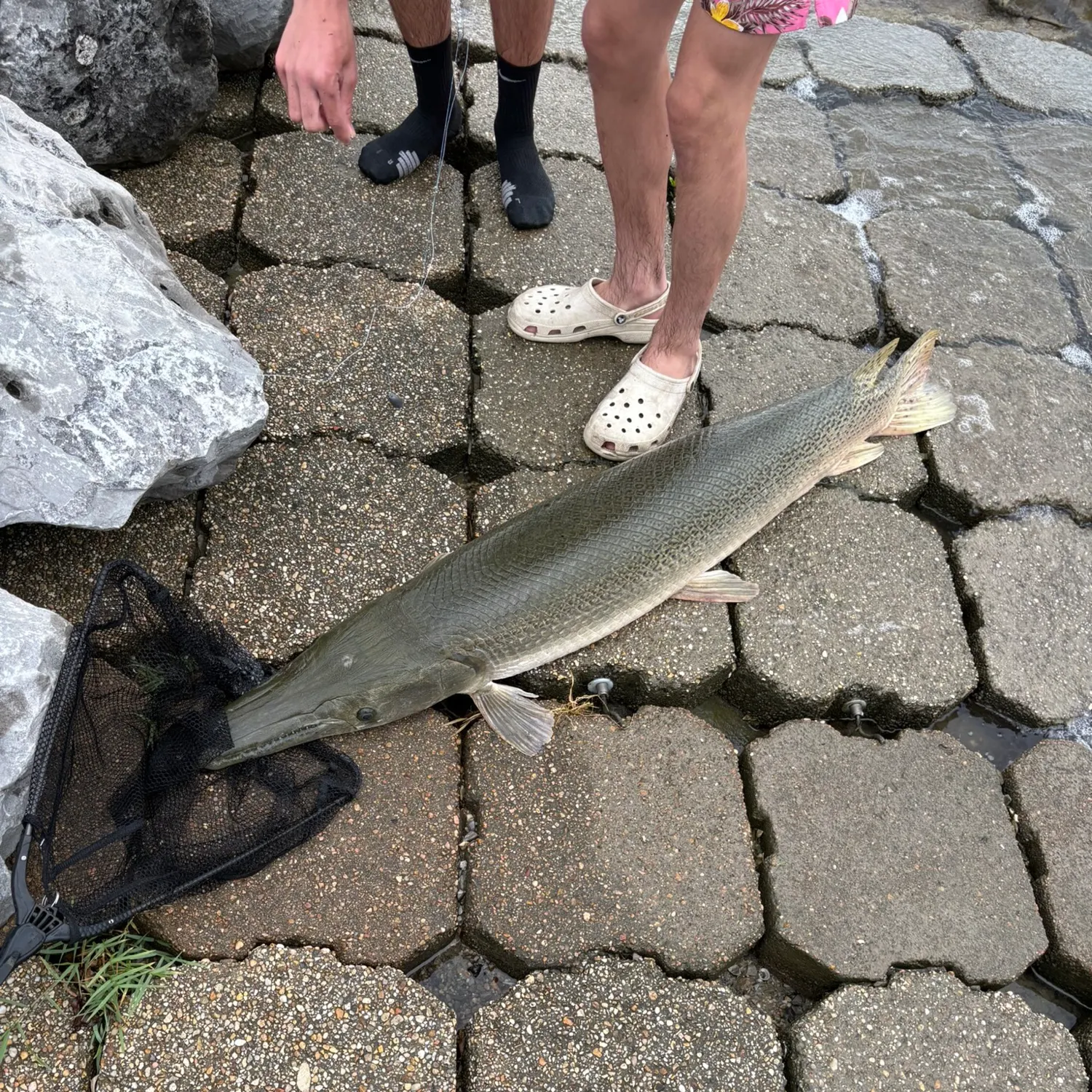 catch