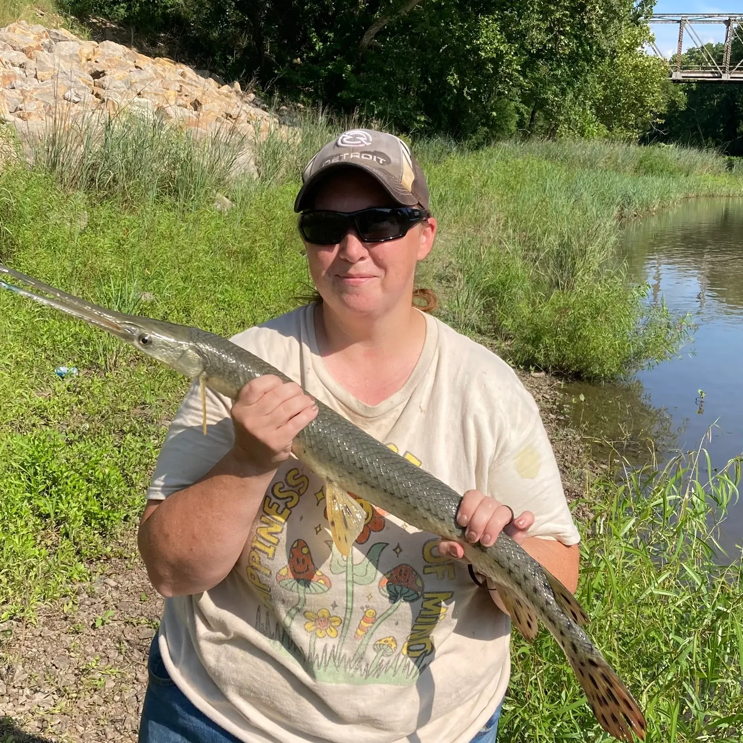 Longnose gar caught on Fishbrain