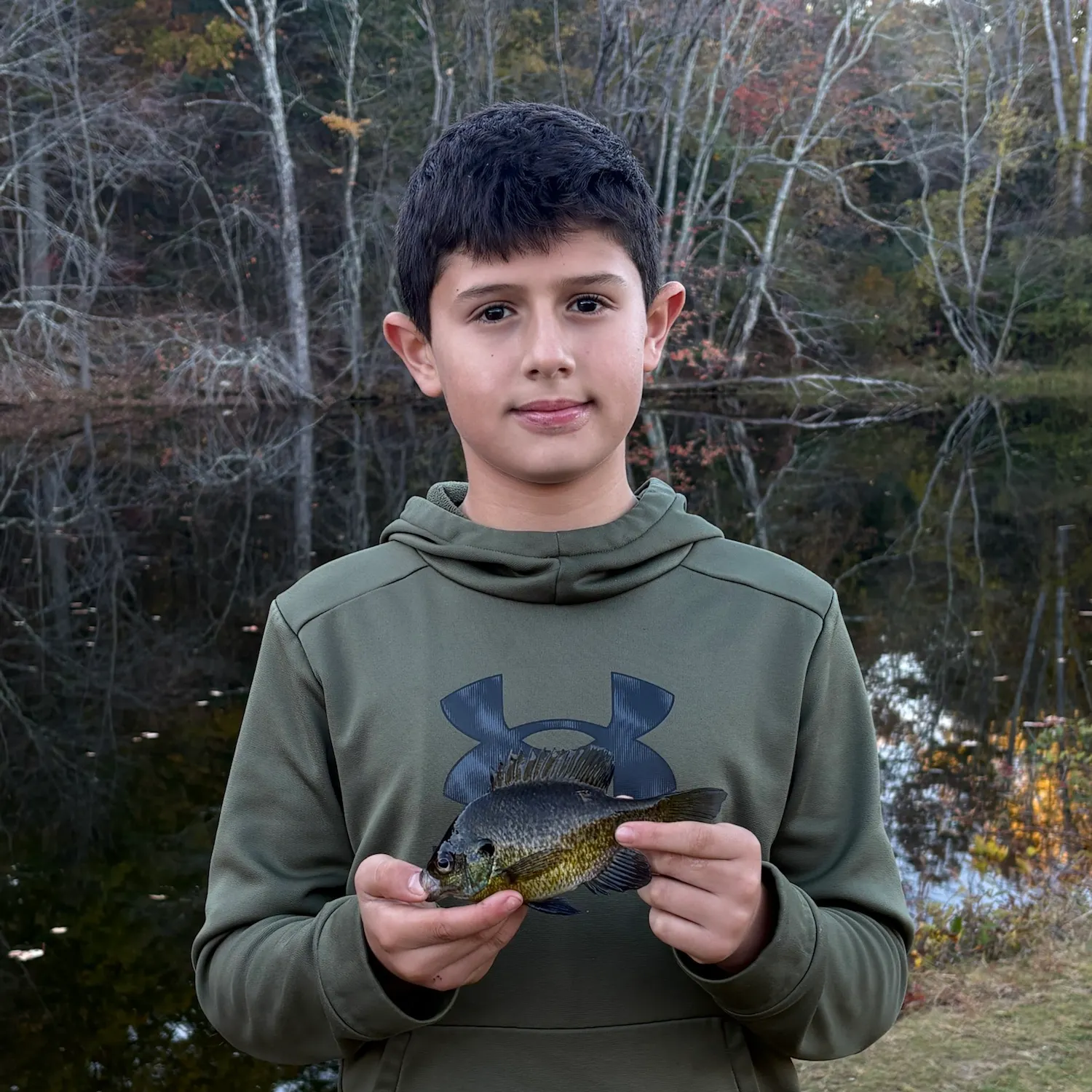 Bluegill caught on Fishbrain