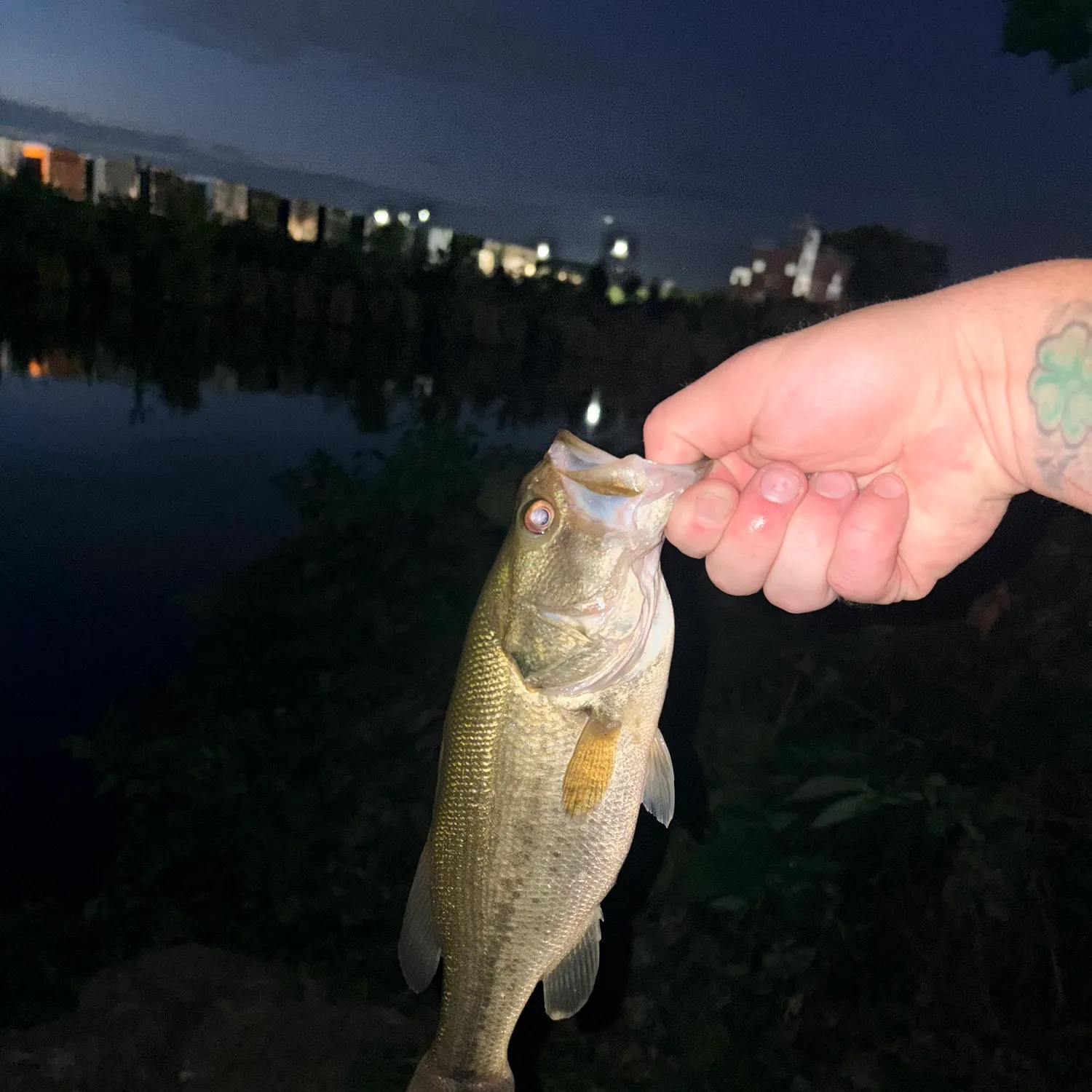 catch