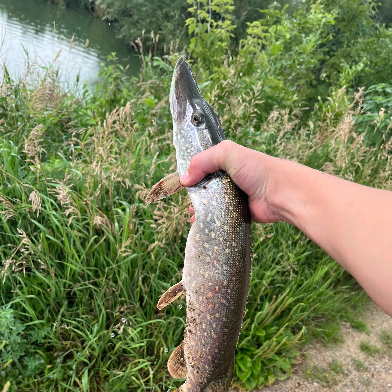 catch