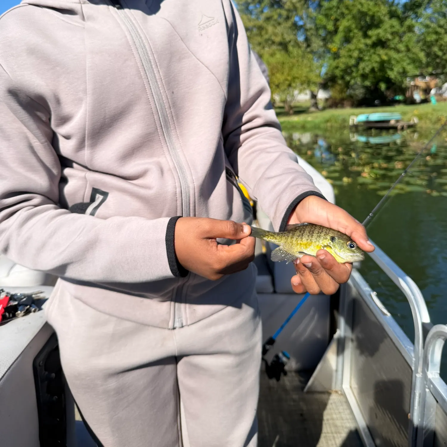 Bluegill caught on Fishbrain
