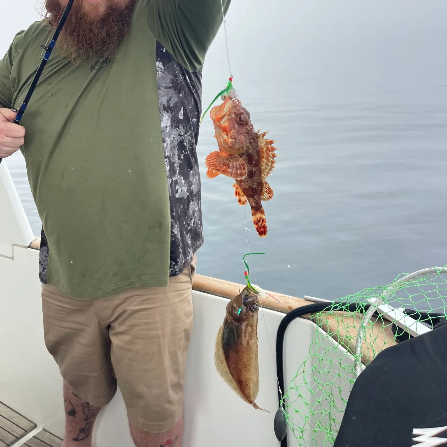 The most recent California scorpionfish catches on Fishbrain