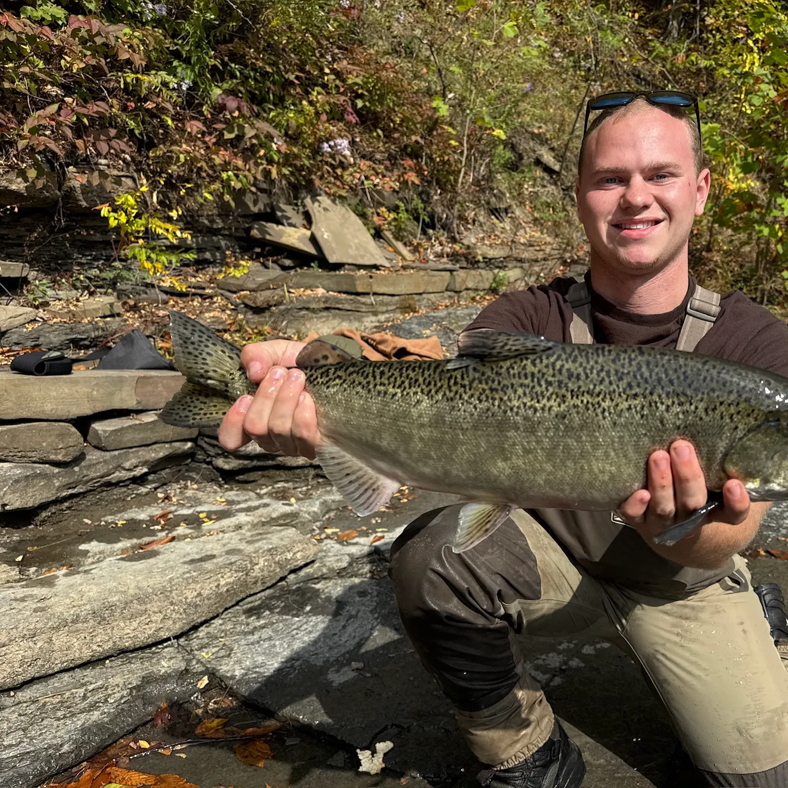 The most recent Chinook salmon catches on Fishbrain