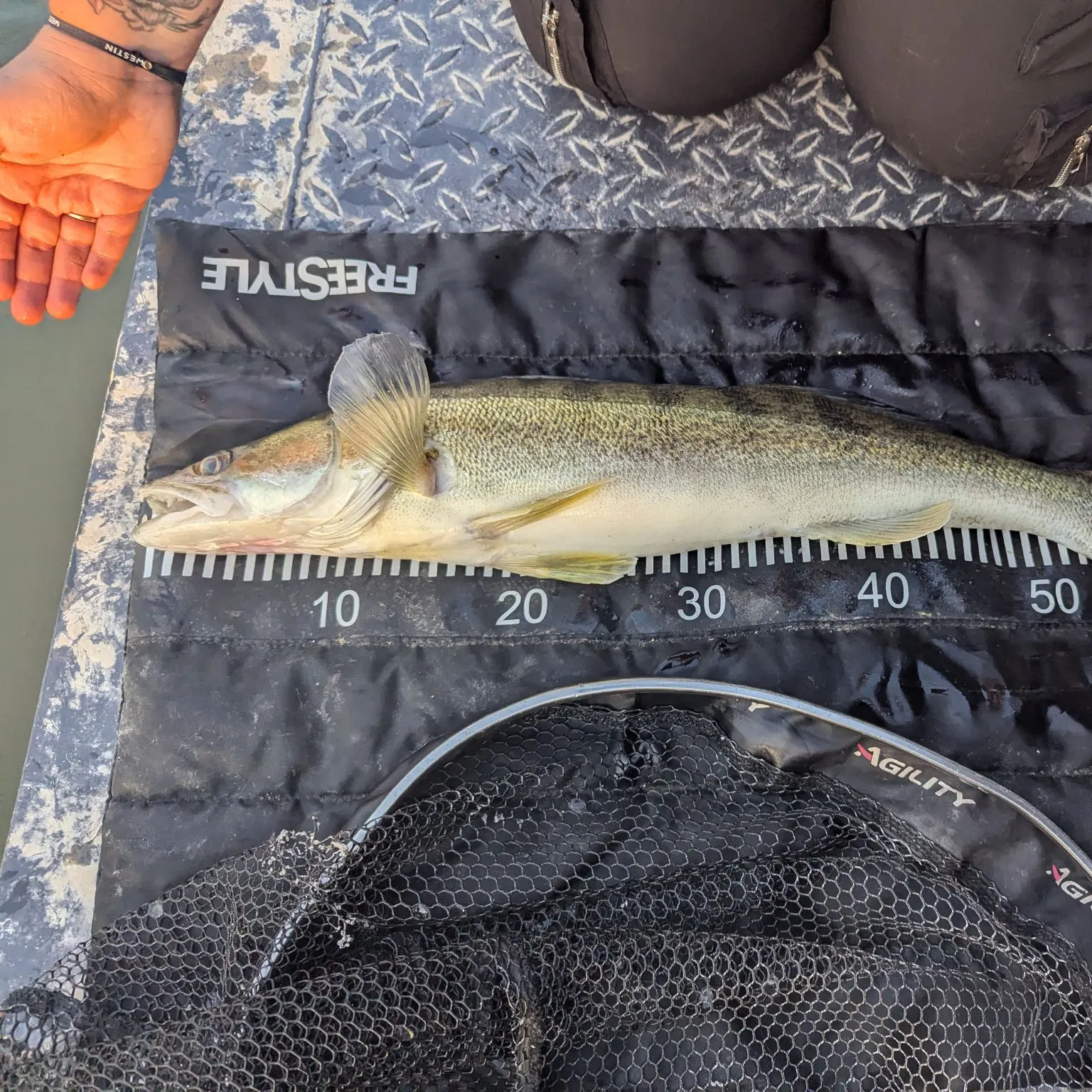 recently logged catches