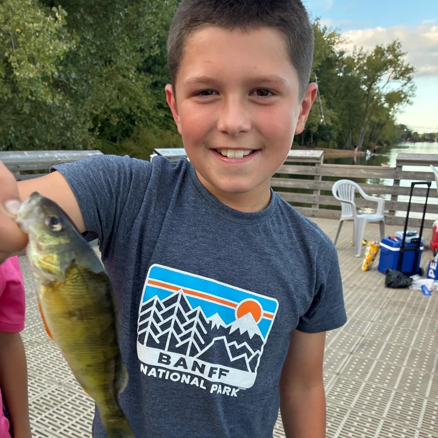 Yellow perch caught on Fishbrain