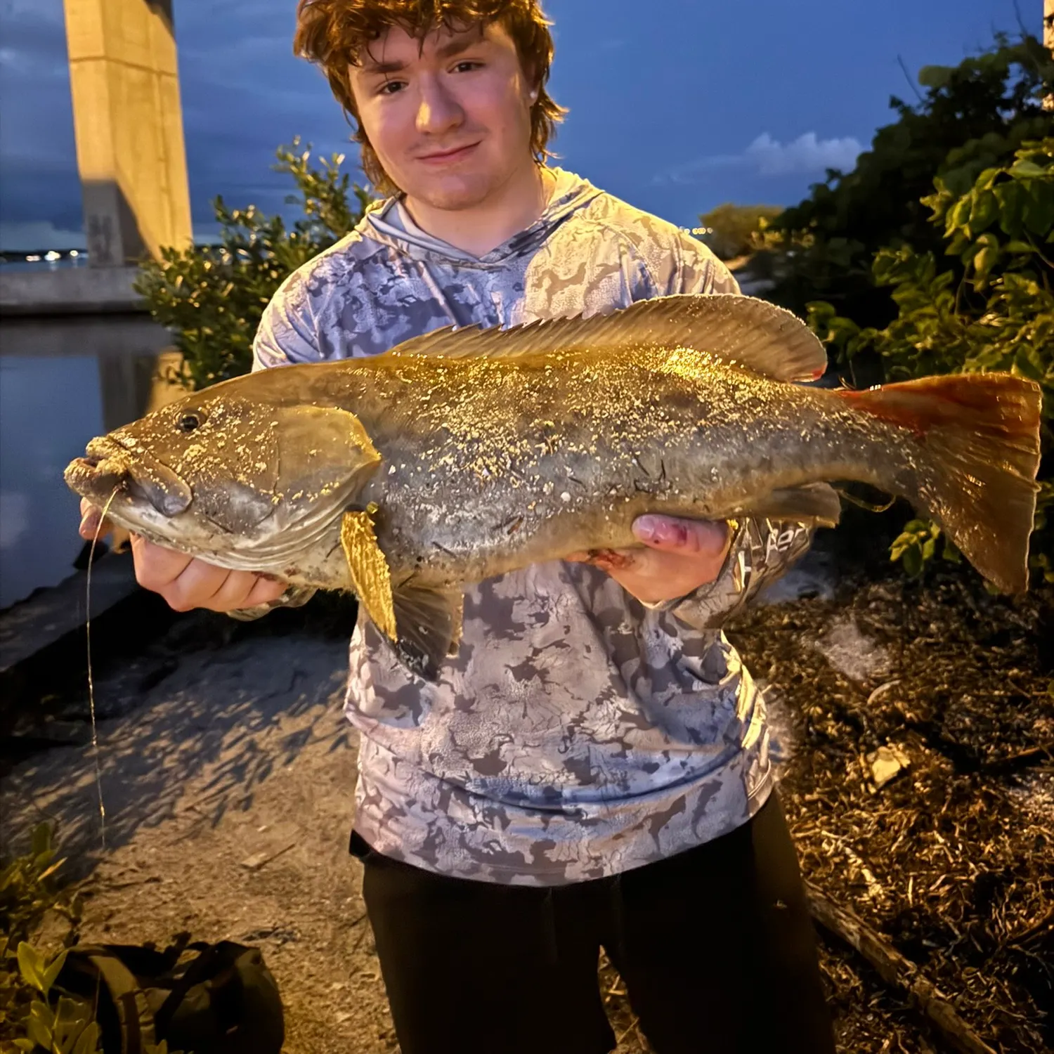 Gag grouper caught on Fishbrain