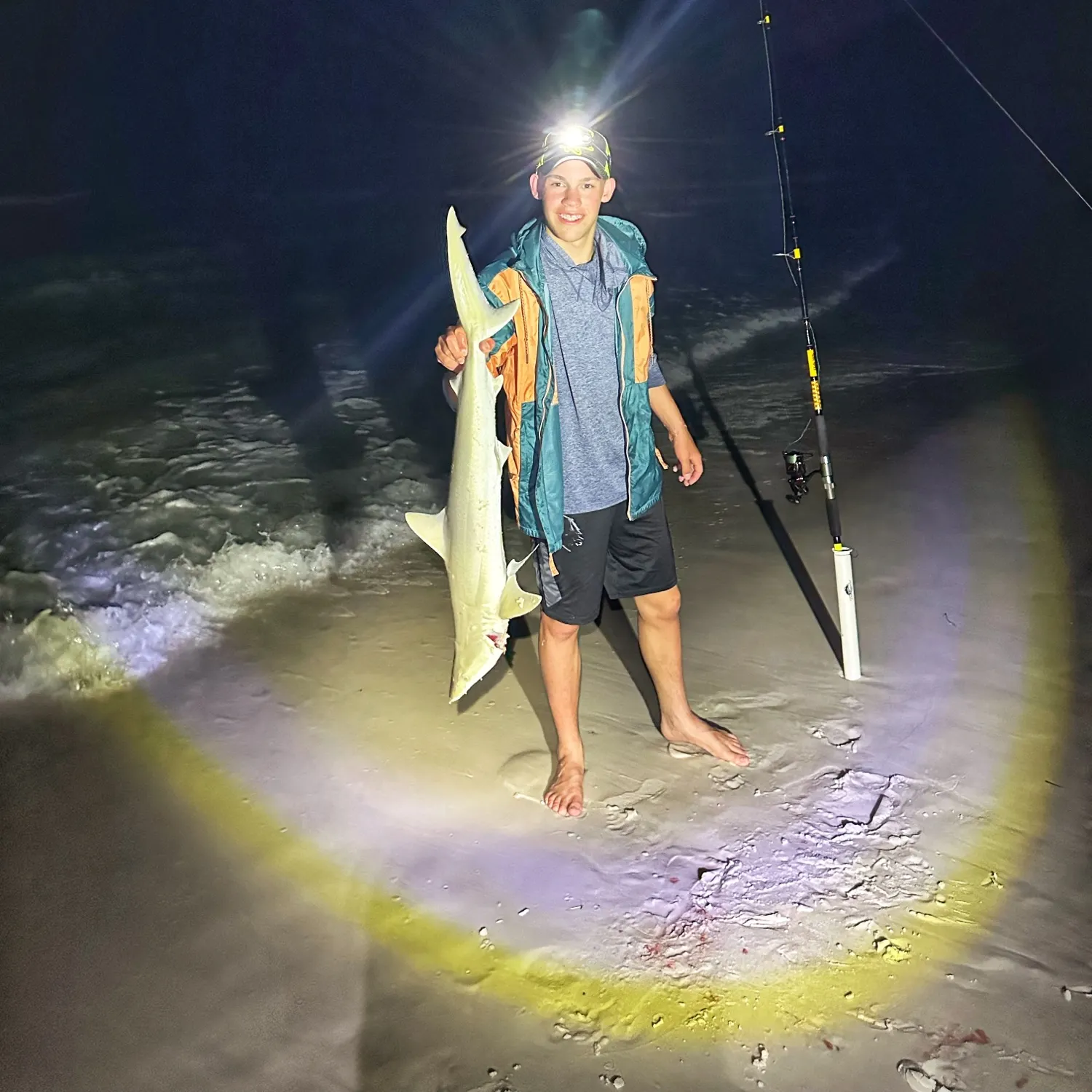 The most popular recent Atlantic sharpnose shark catch on Fishbrain