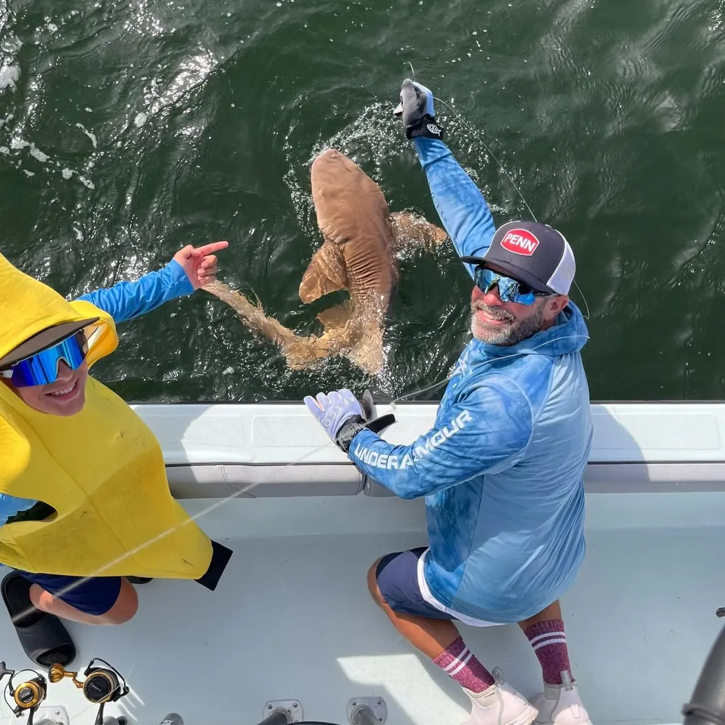 The most recent Nurse shark catches on Fishbrain