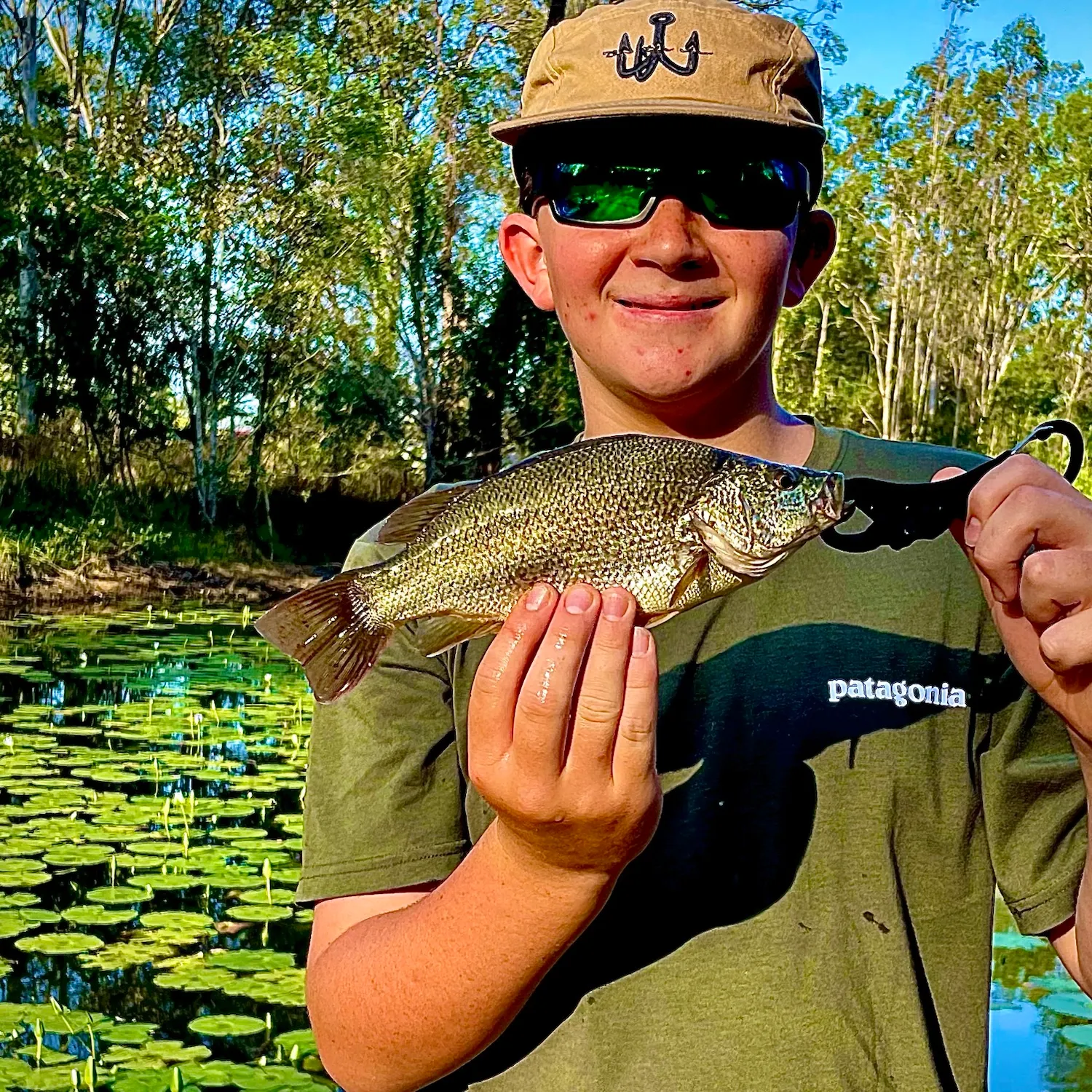 The most recent Spangled perch catches on Fishbrain