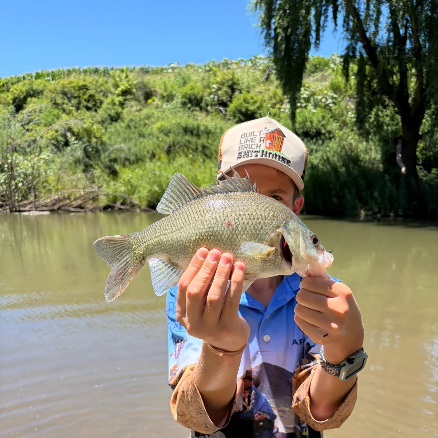 The most recent Australian bass catches on Fishbrain