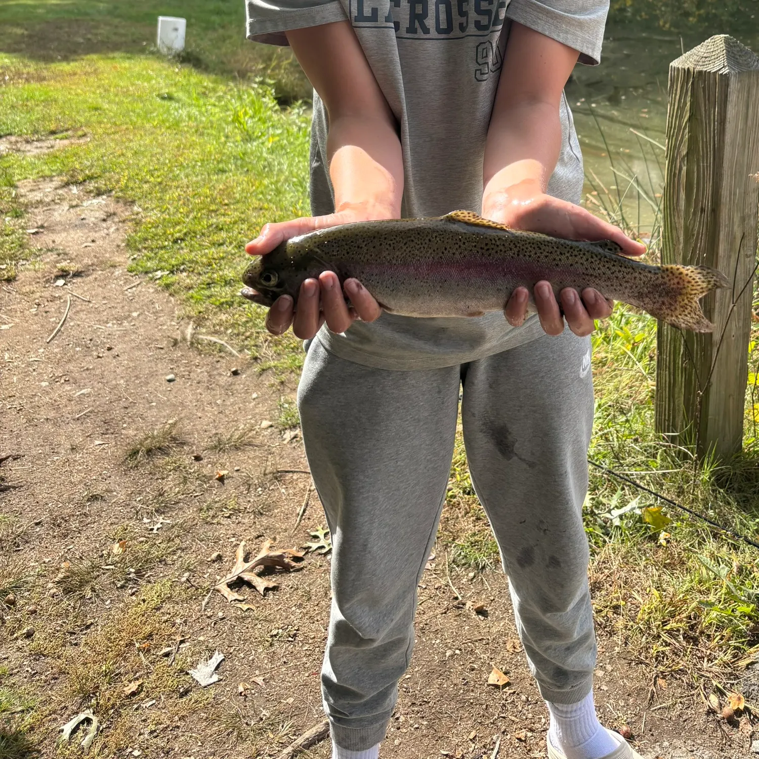 Rainbow trout caught on Fishbrain