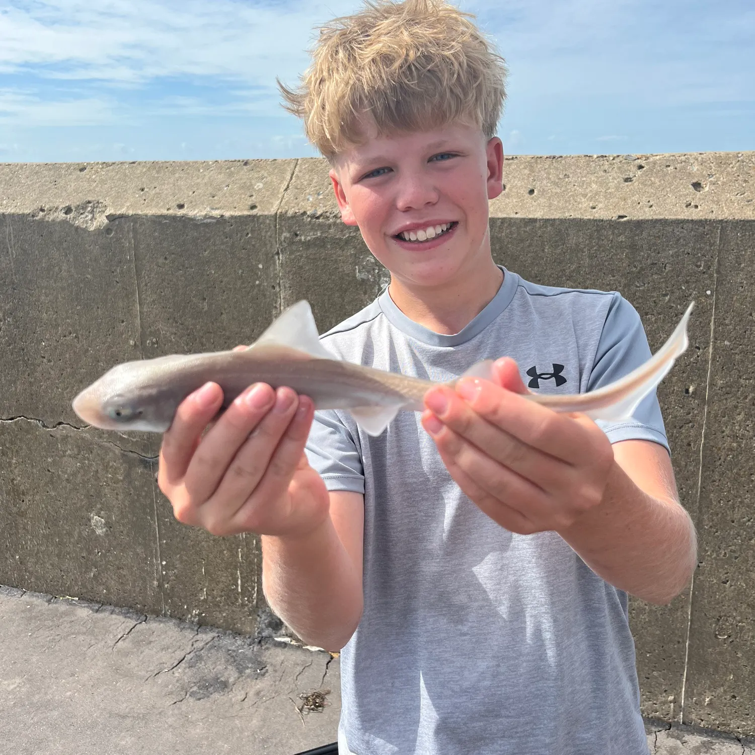 Starry smooth-hound caught on Fishbrain