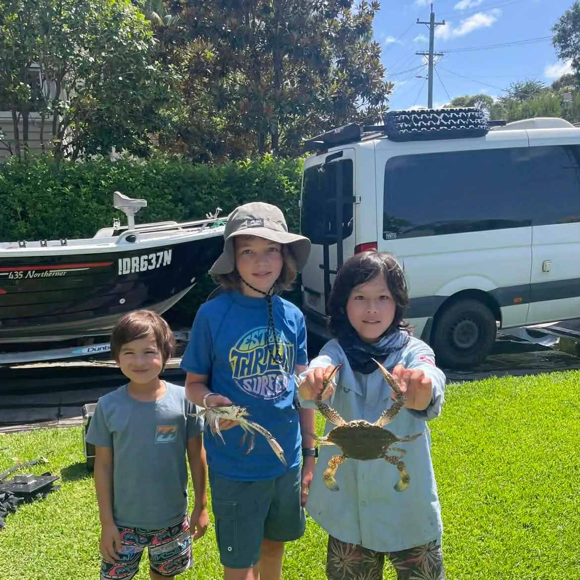 The most recent Blue swimmer crab catches on Fishbrain