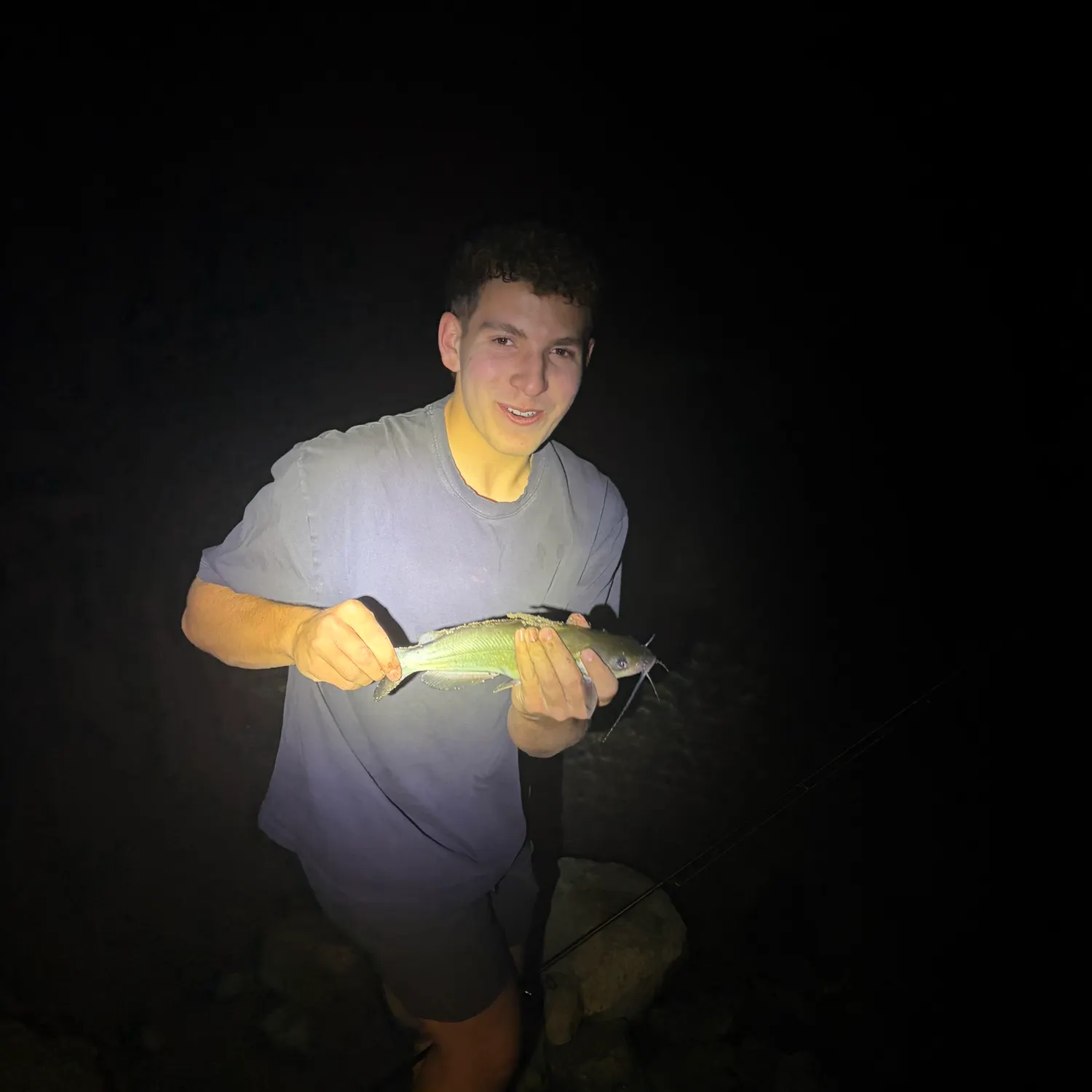 Channel catfish caught on Fishbrain