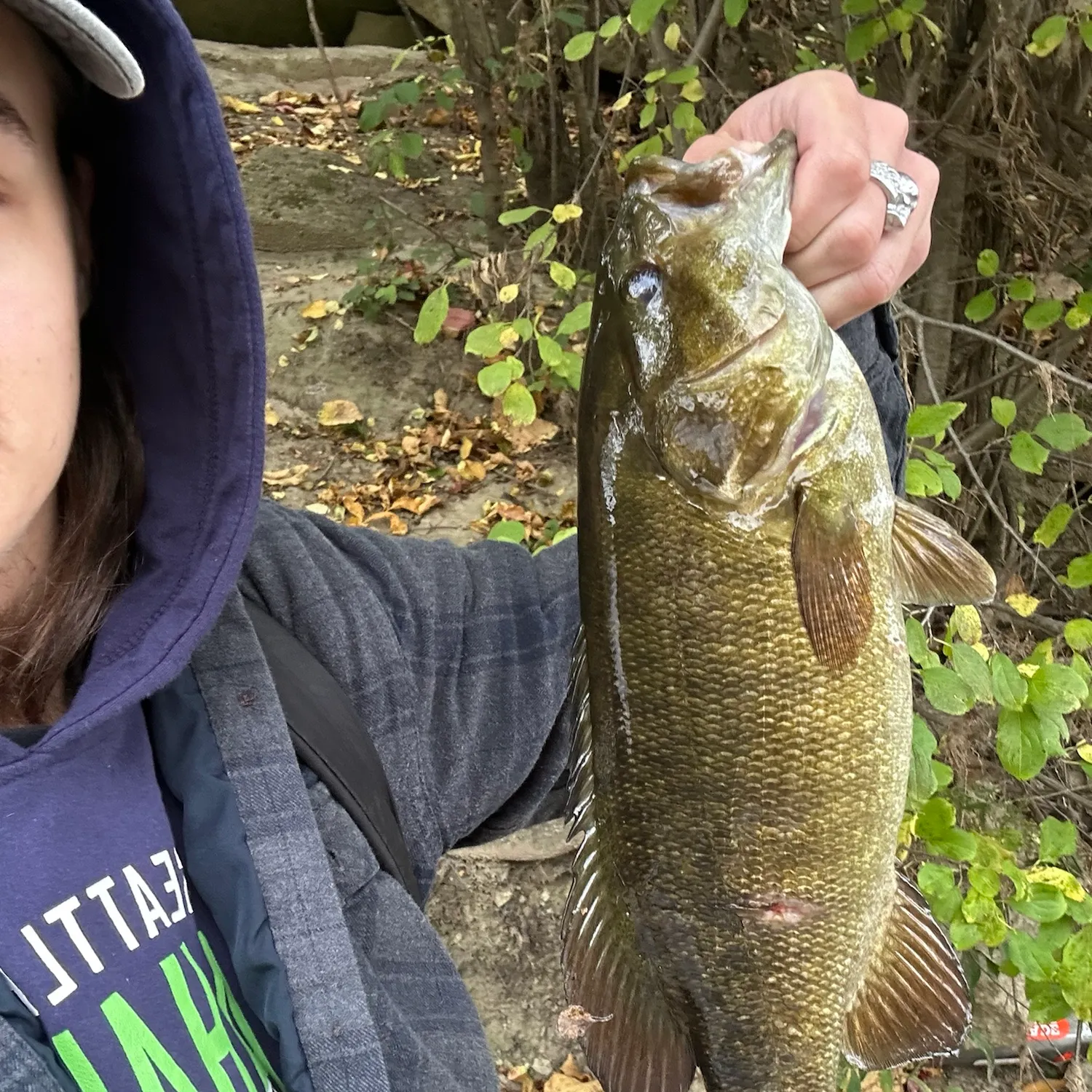 Smallmouth bass caught on Fishbrain