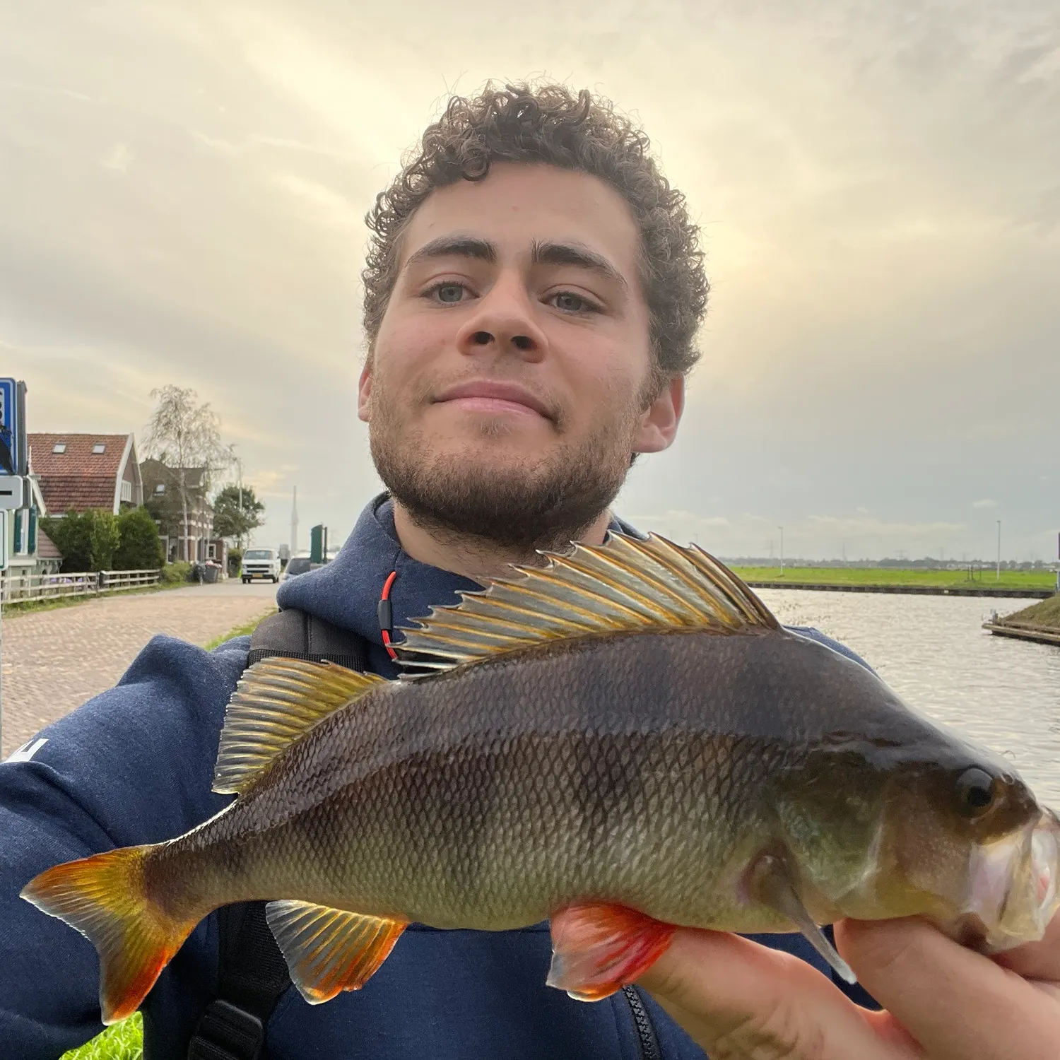 The most recent European perch catches on Fishbrain