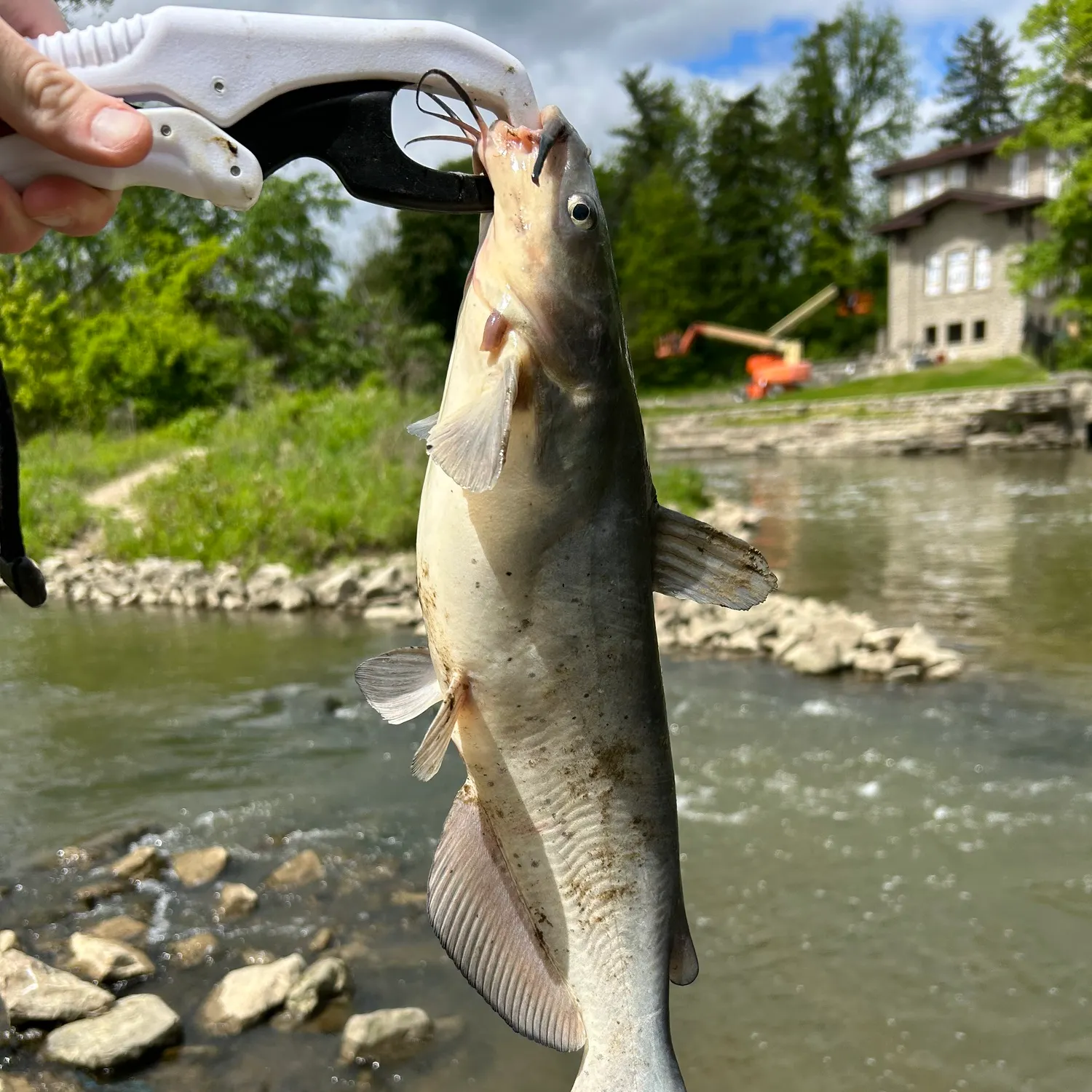 catch